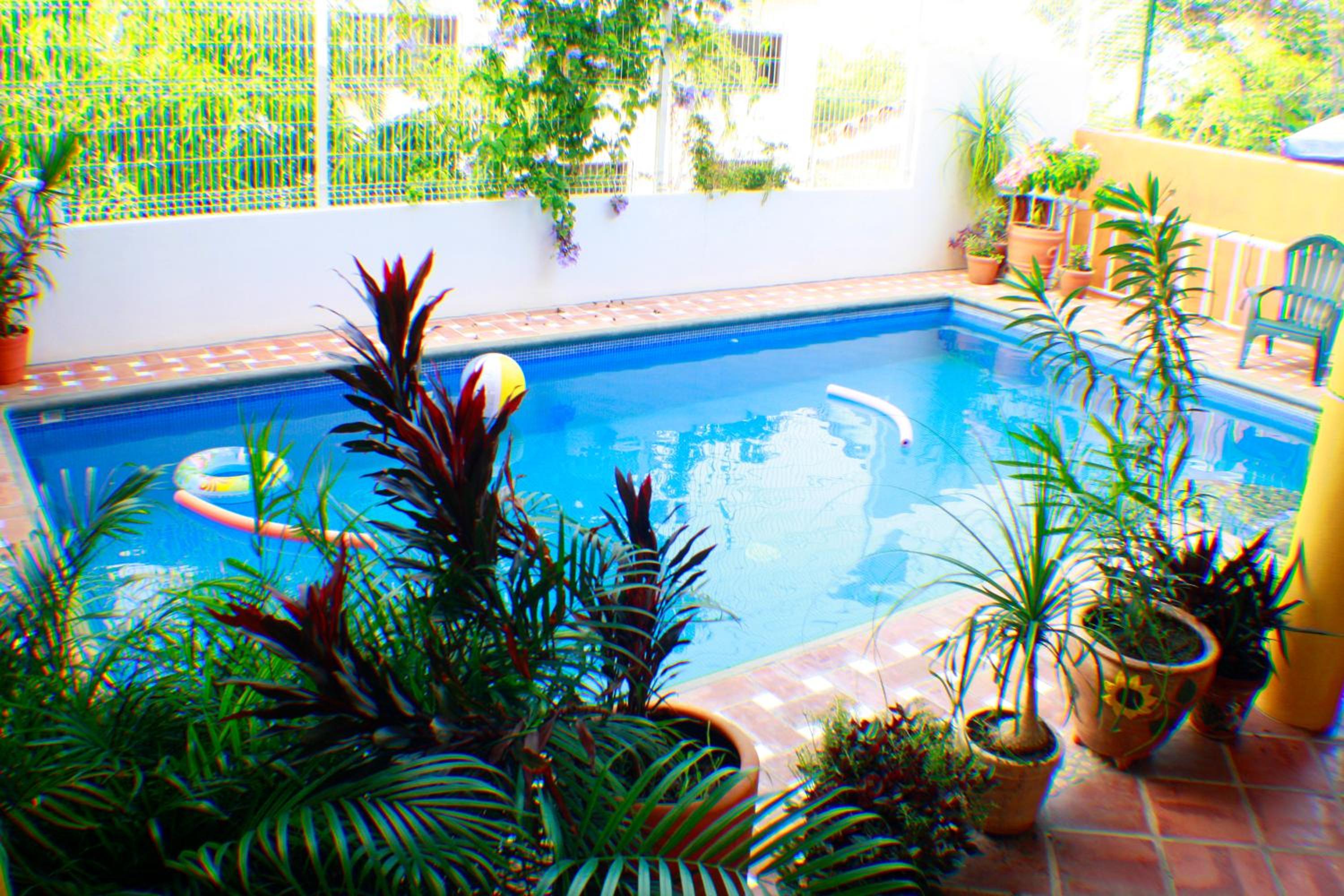 Cielito Lindo Suites