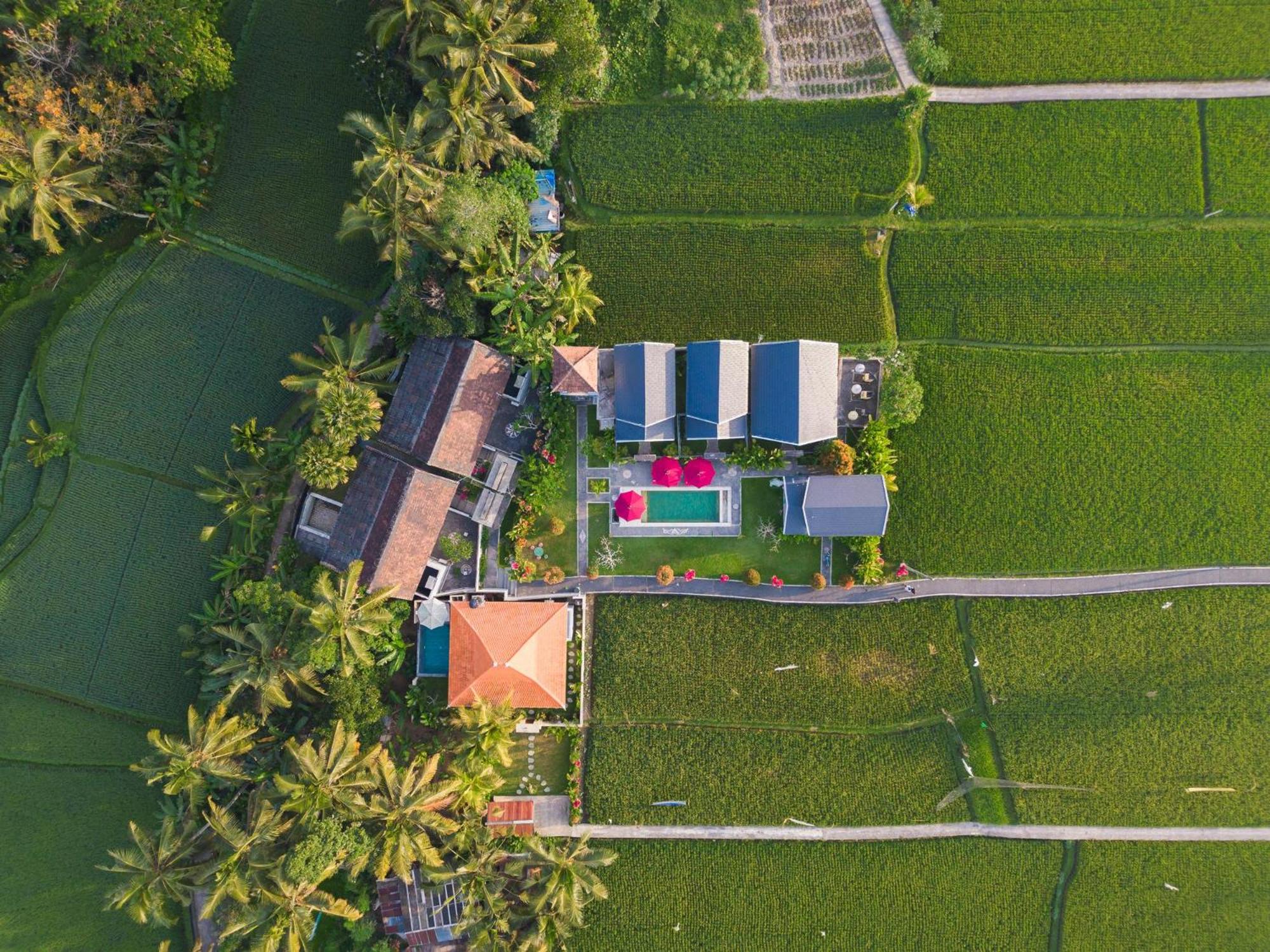 Mahana Ubud