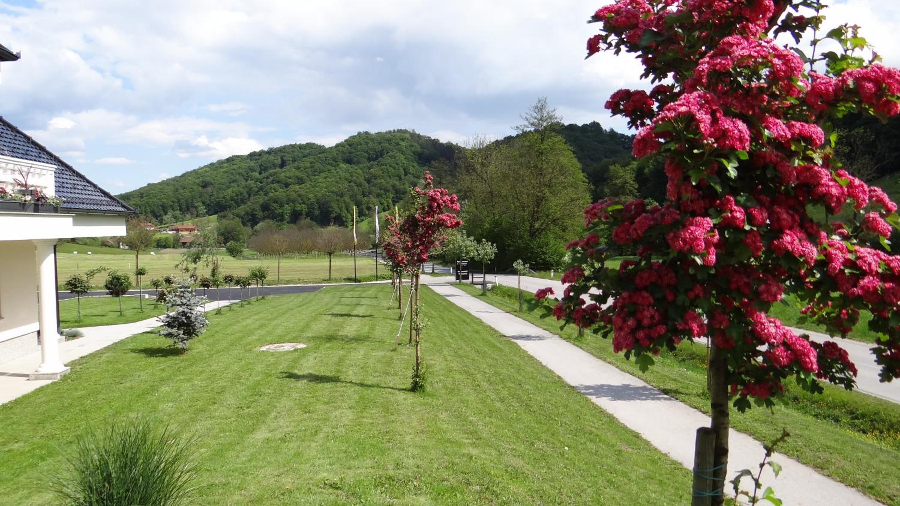 Relax Center Olimian