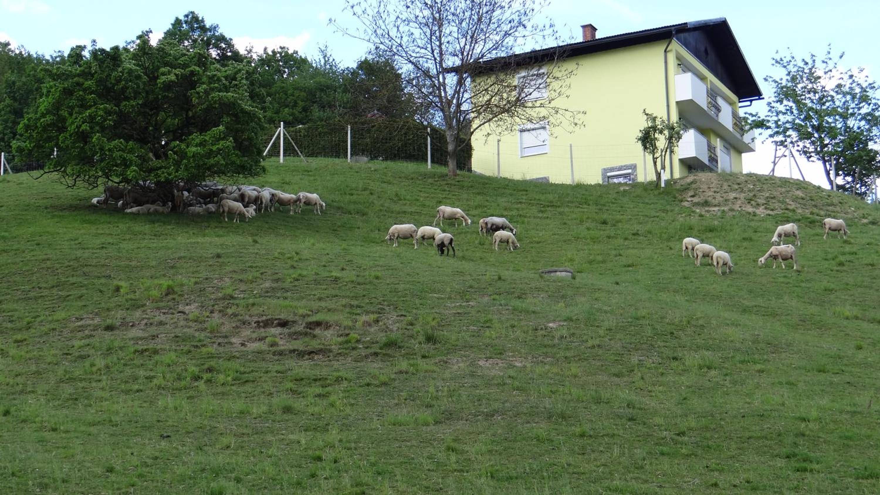 Relax Center Olimian
