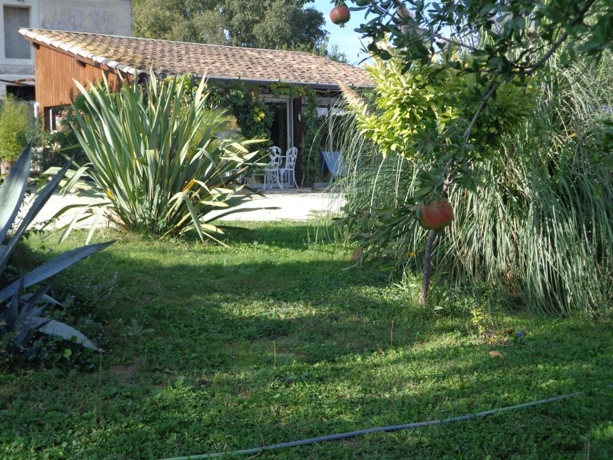 Photo 22