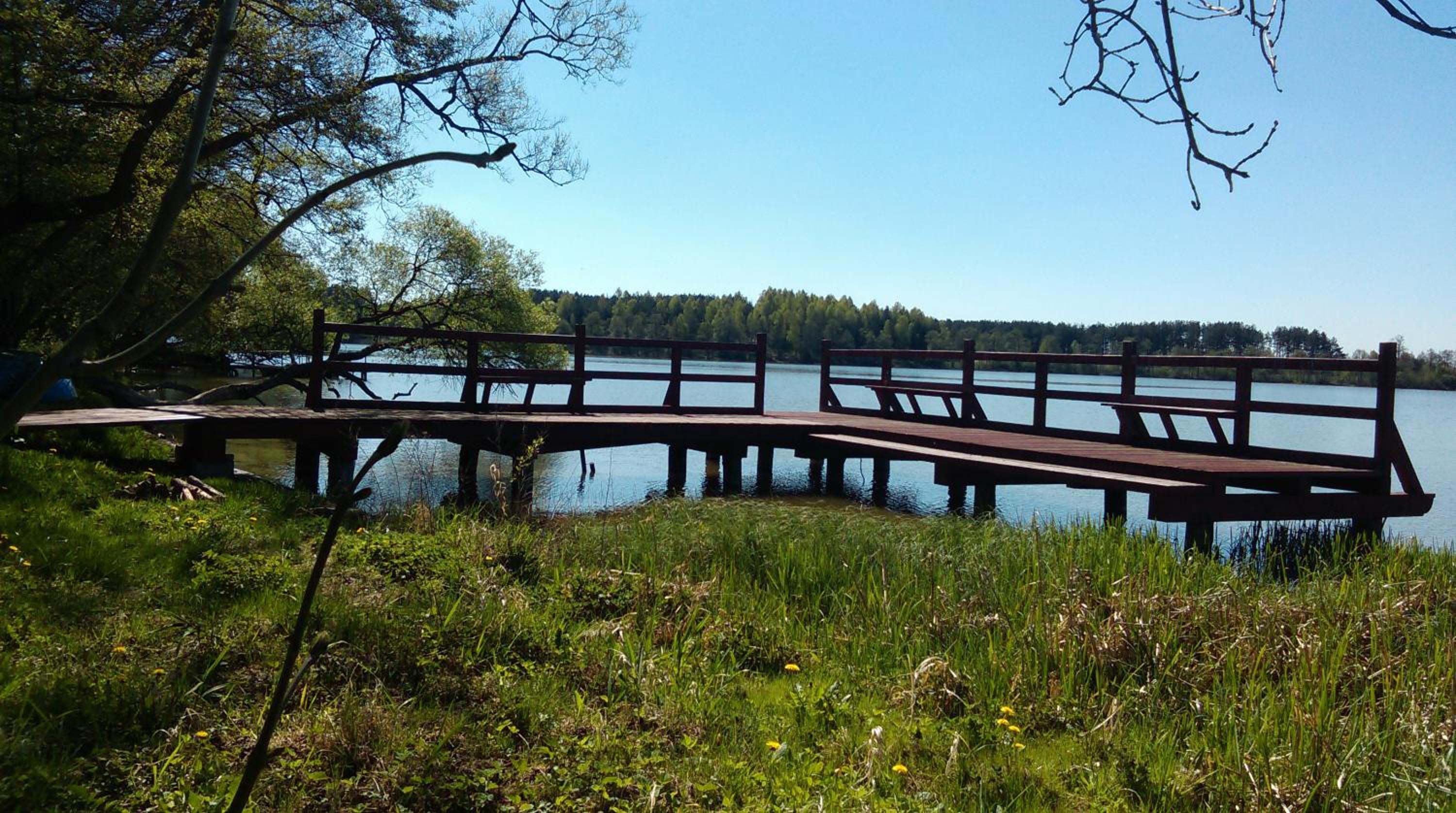 Photo 45