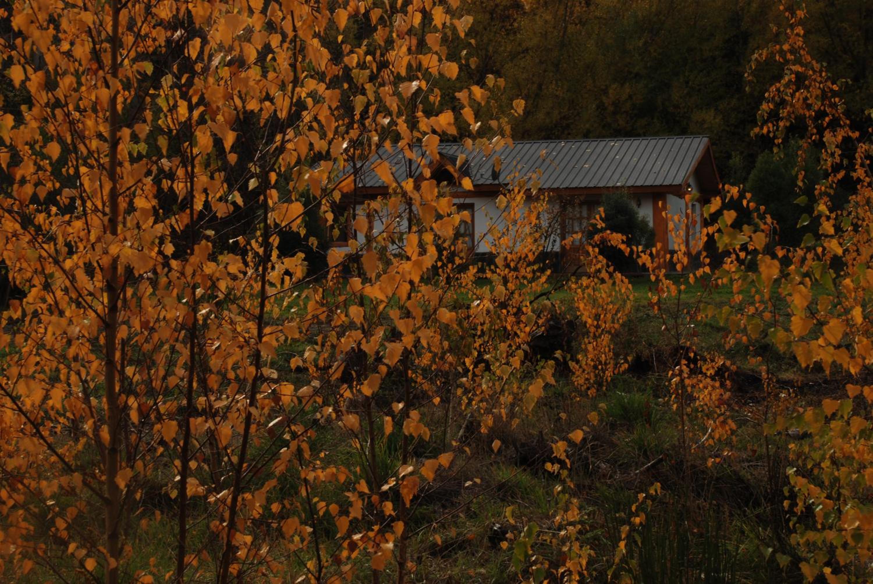 Valle de Epuyen