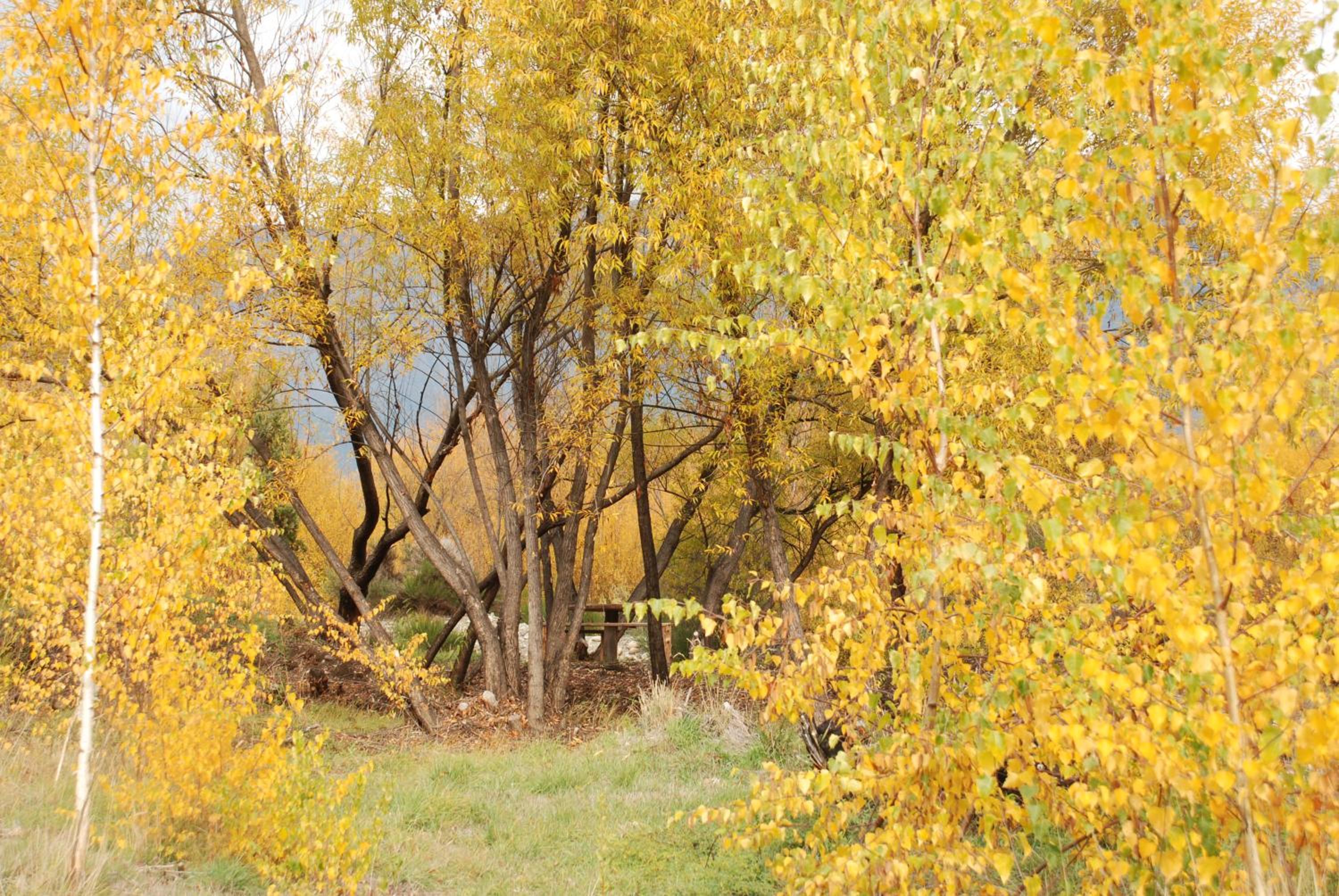 Valle de Epuyen