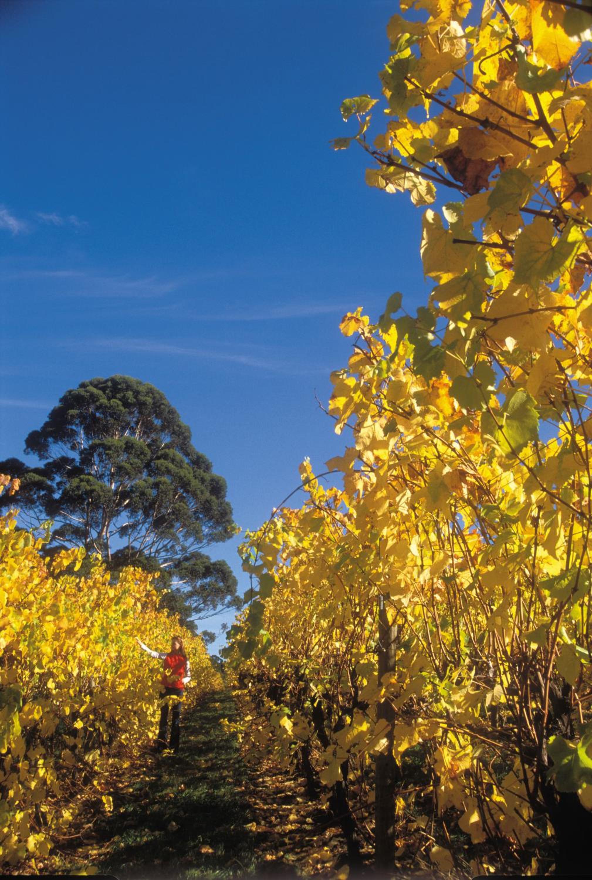 Margaret River Tourist Park