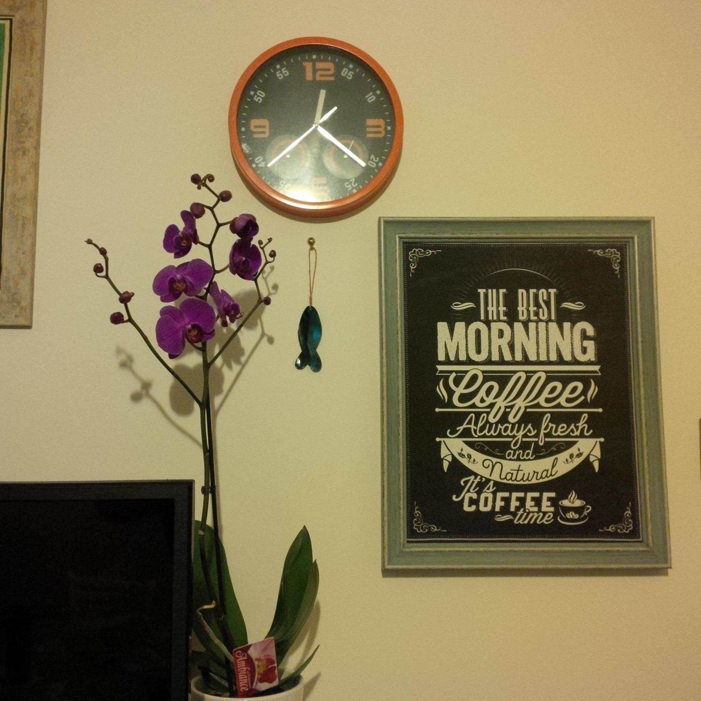 Cagliari Vacations - Miky M House BB - Property Image 20