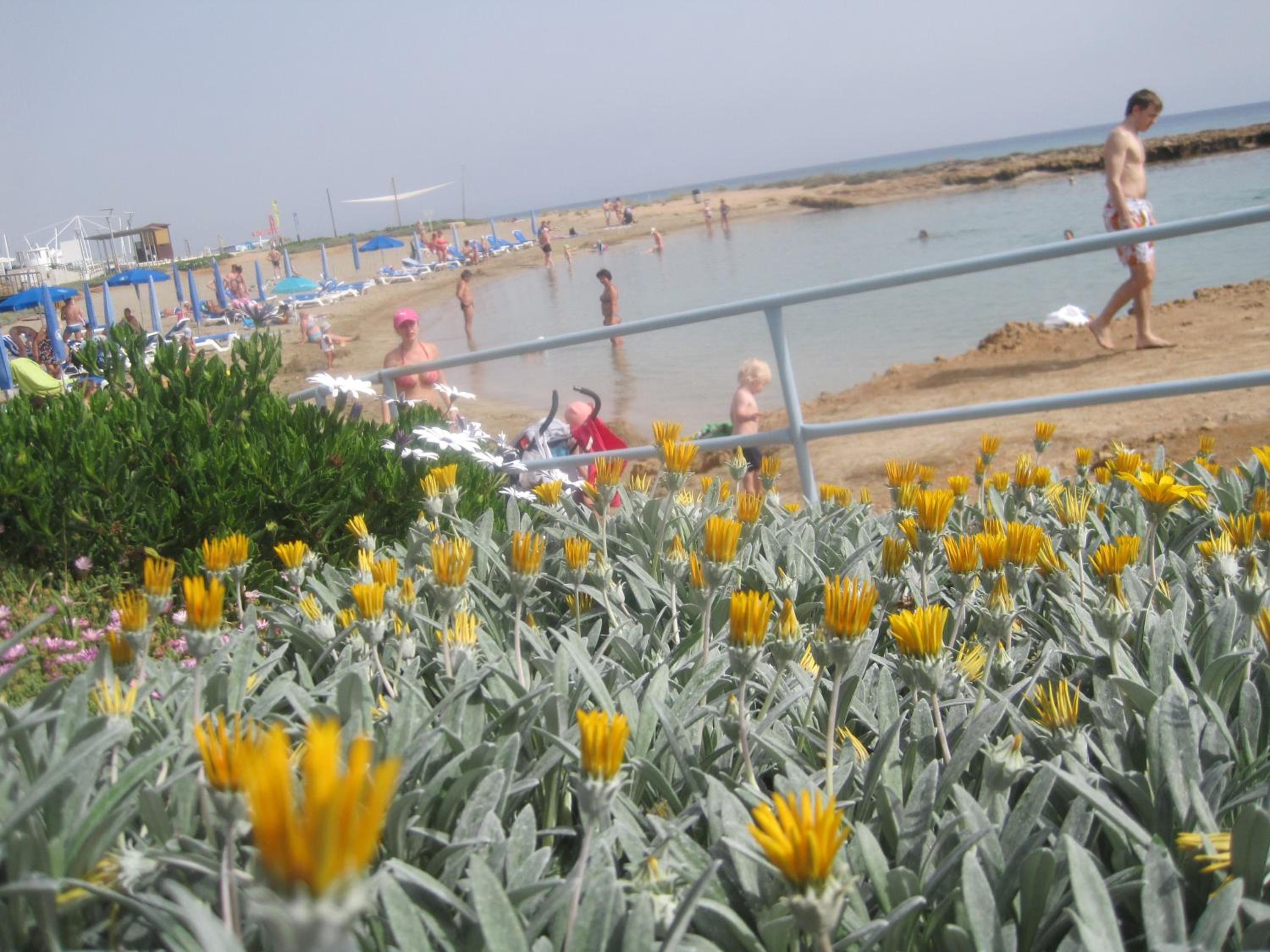 Polyxenia Isaak Luxury Villas and Apartments