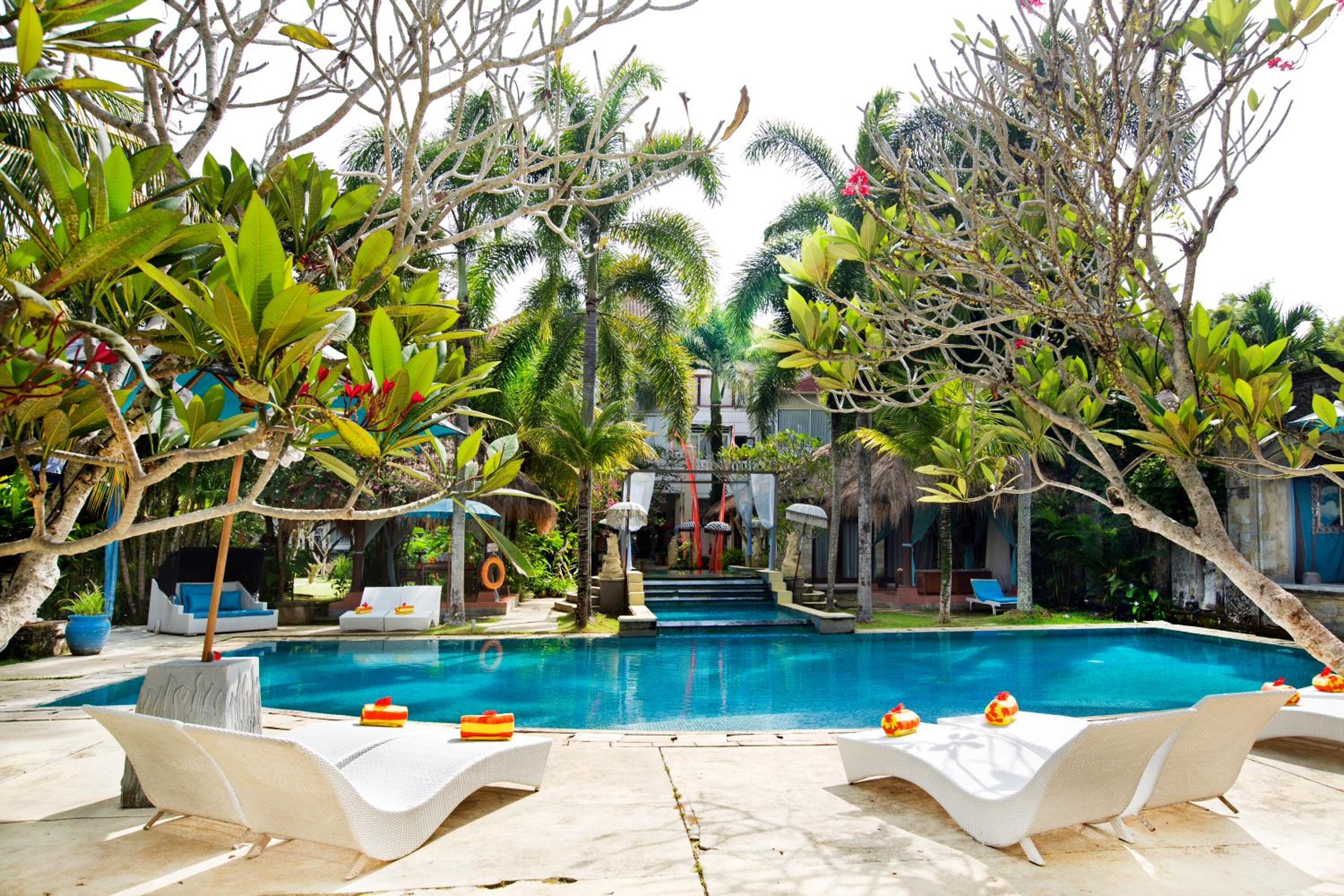 Photo 97