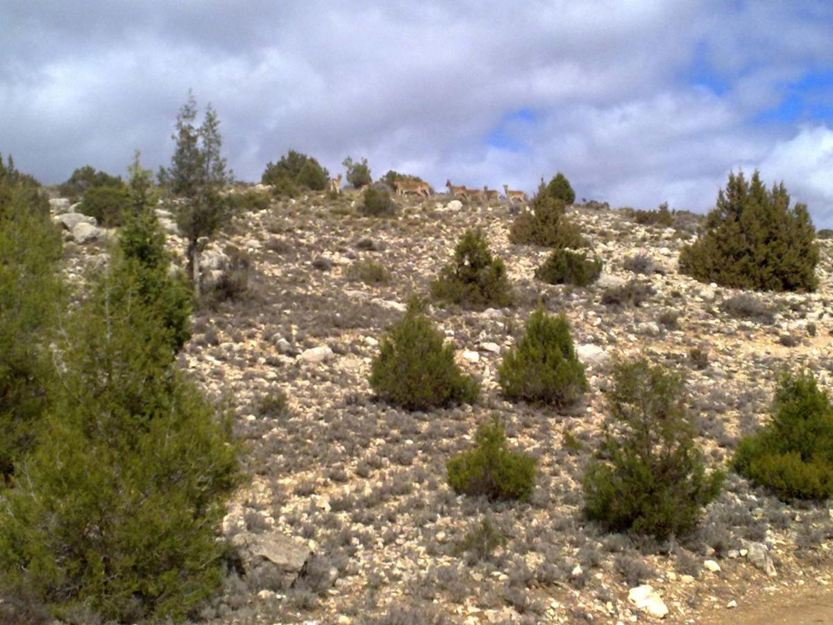 Photo 35