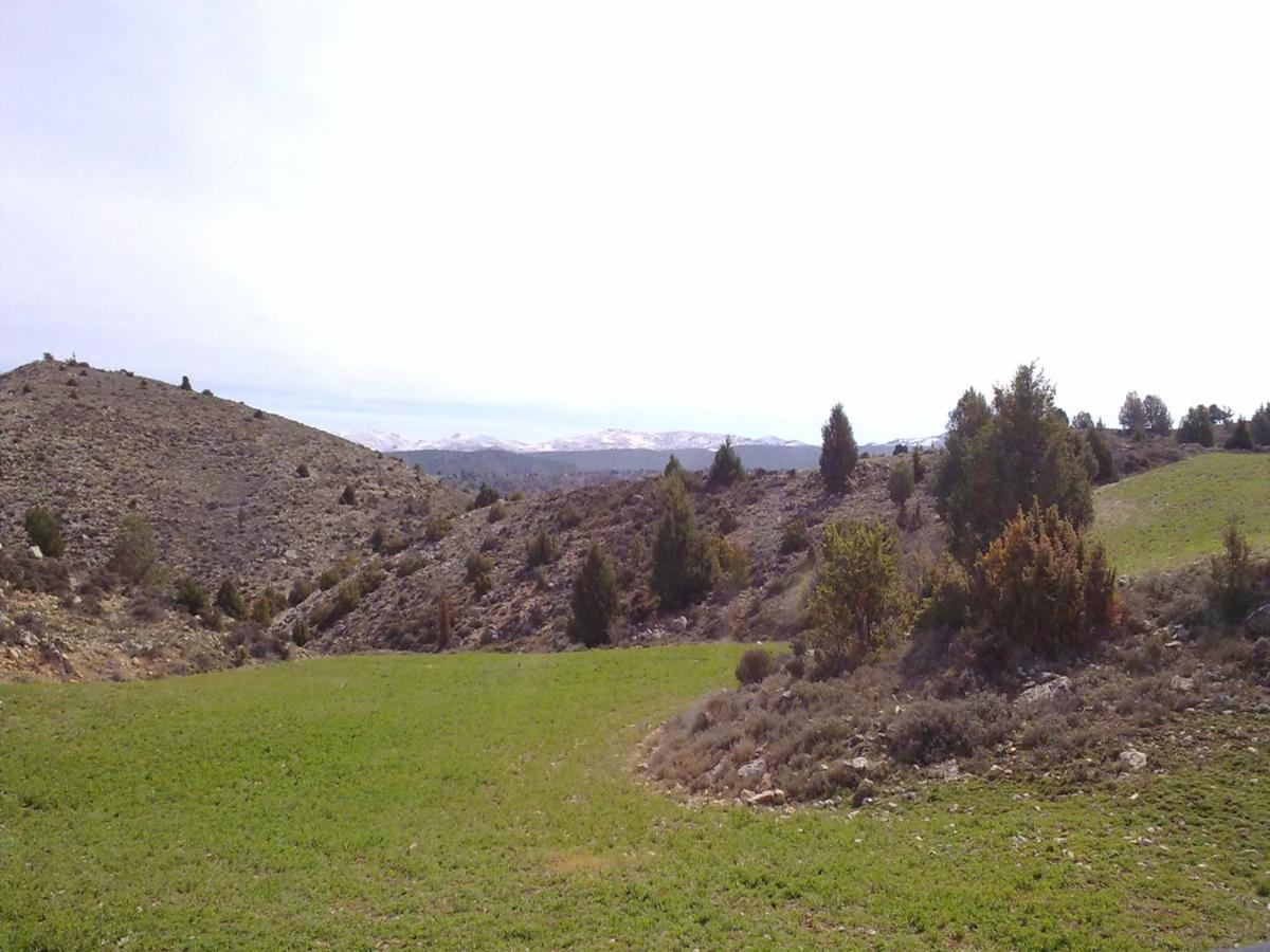 Photo 30