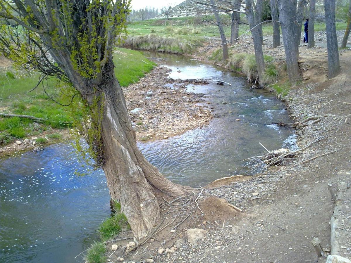 Photo 33