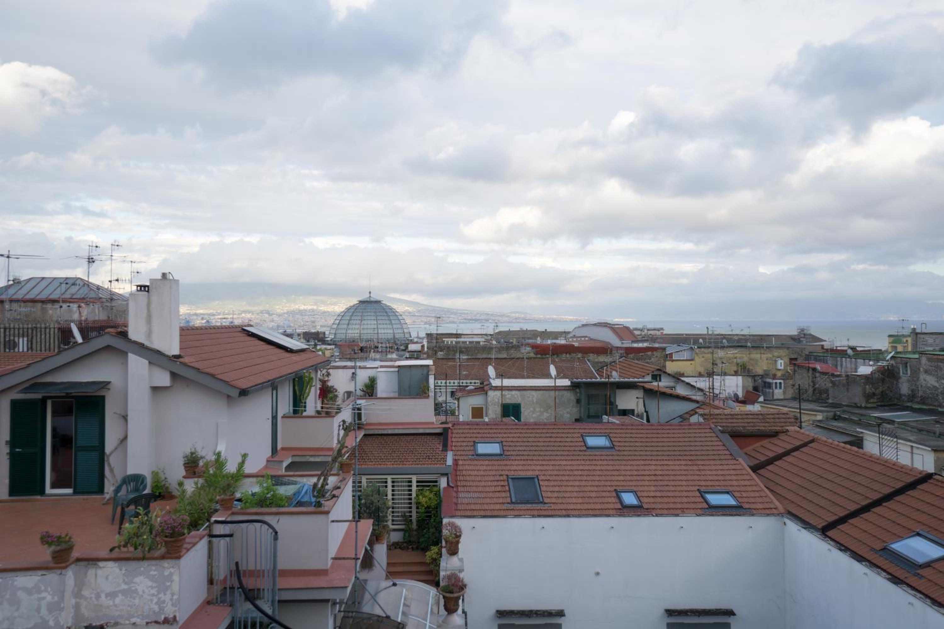 roof