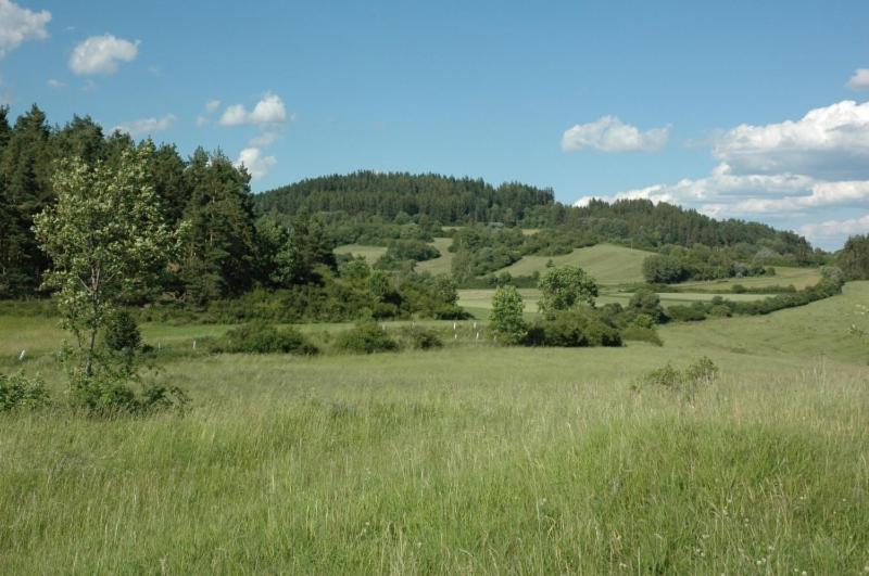 Penzion U Zámeckého parku