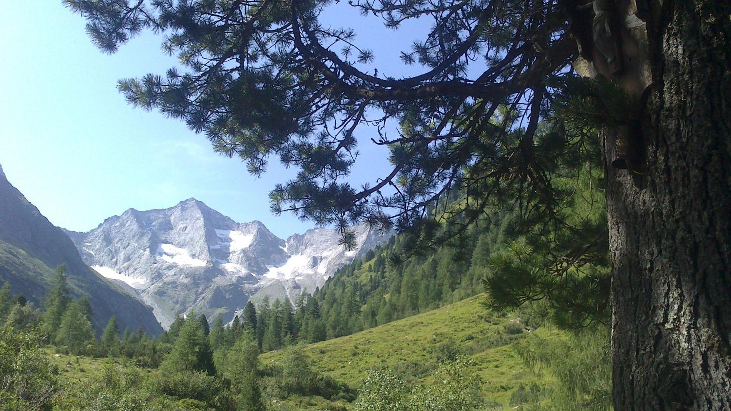 Photo 11
