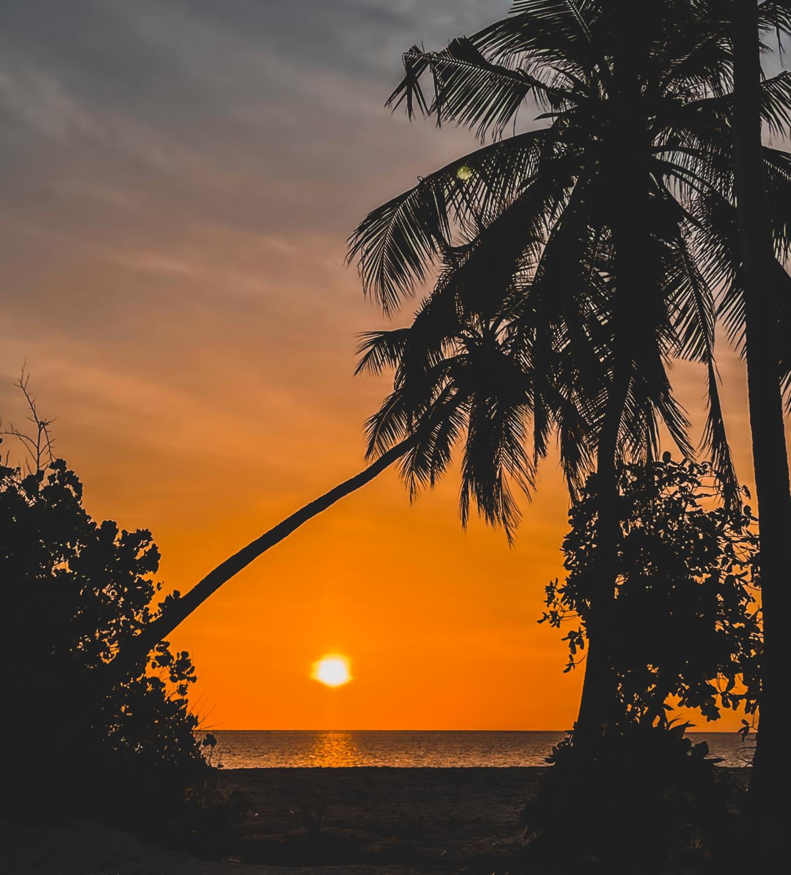 Shadow Isles Himandhoo