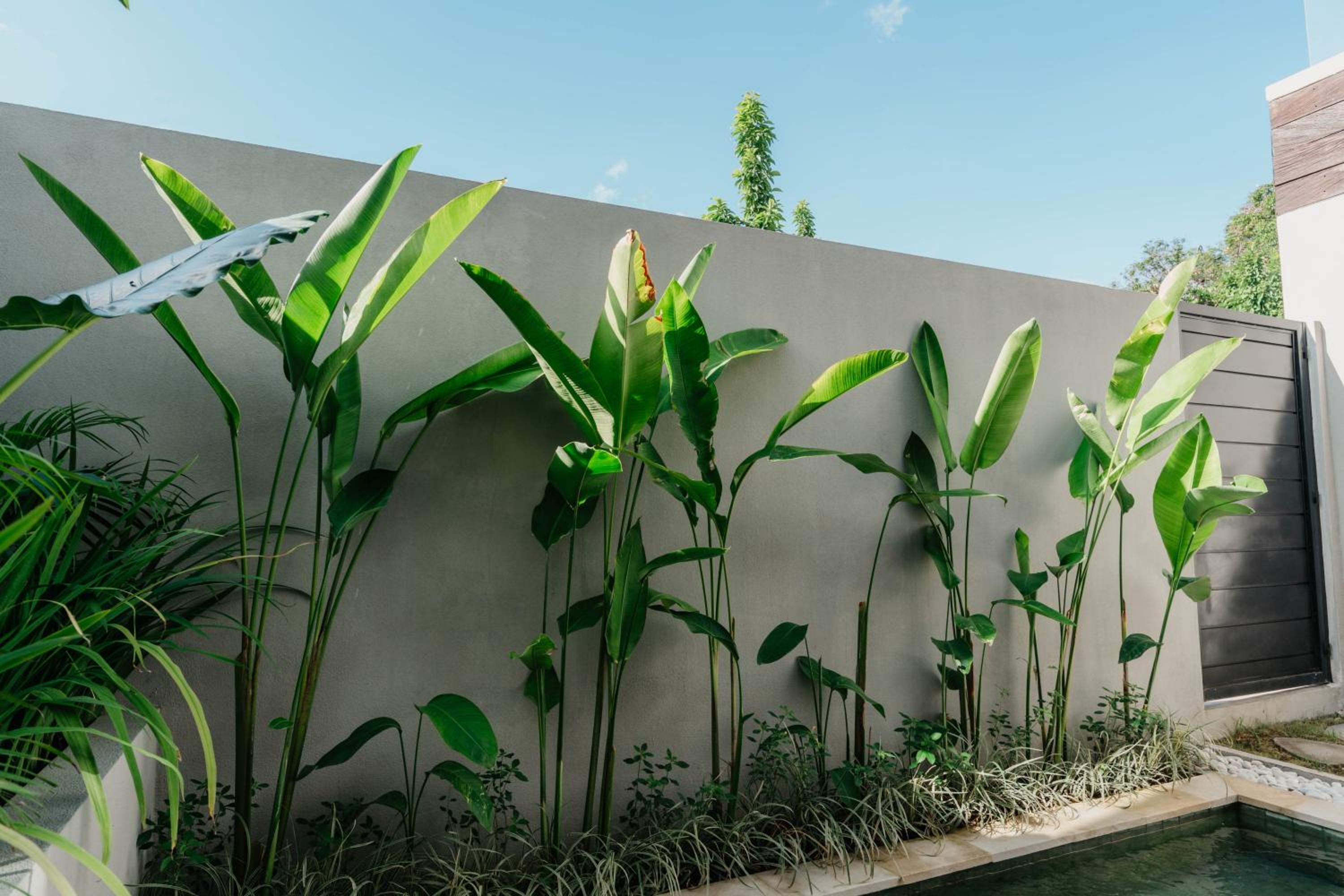 NEW! Unreal Villa 1 - 2BR Villa in Pererenan