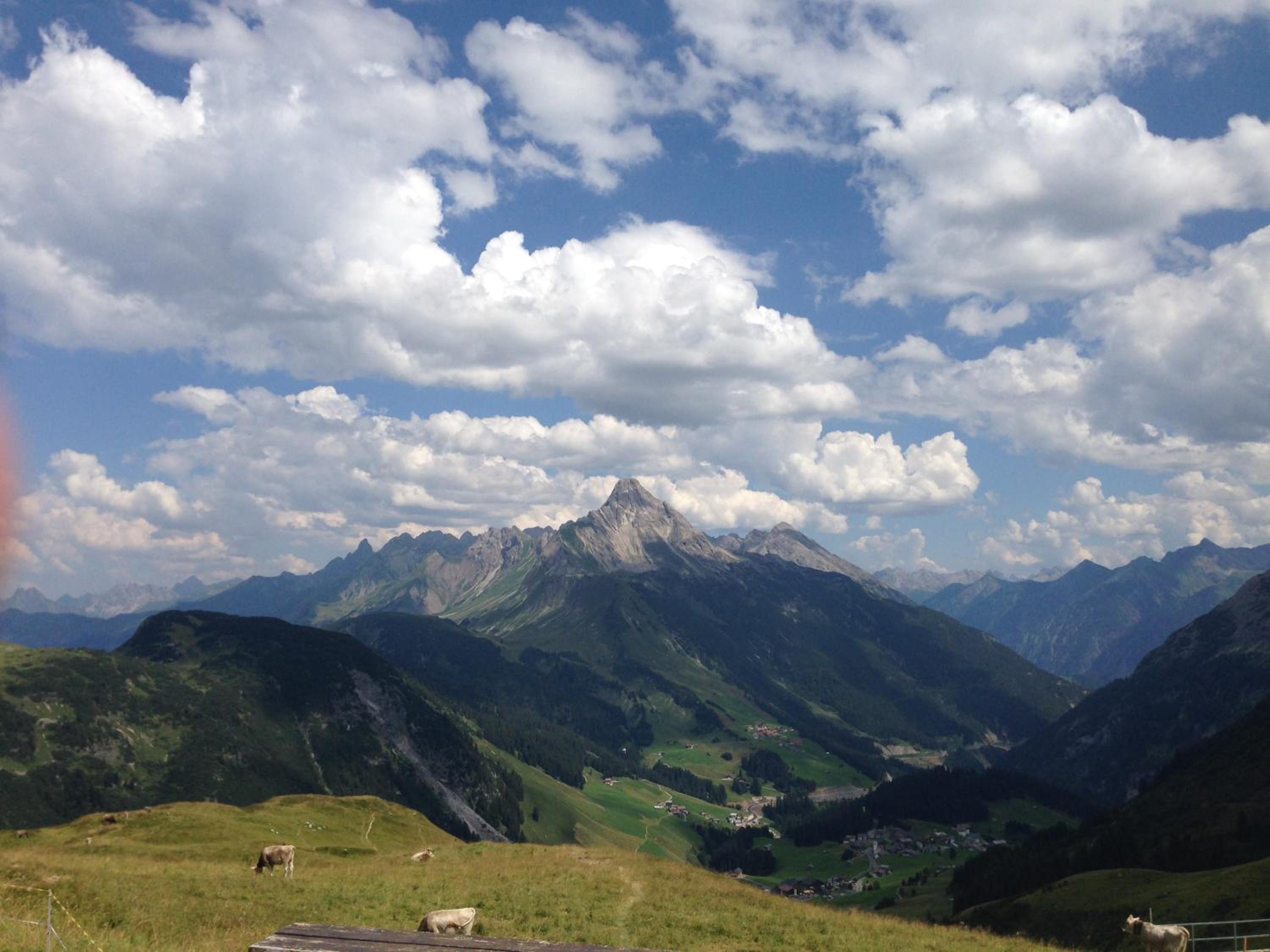 Photo 20