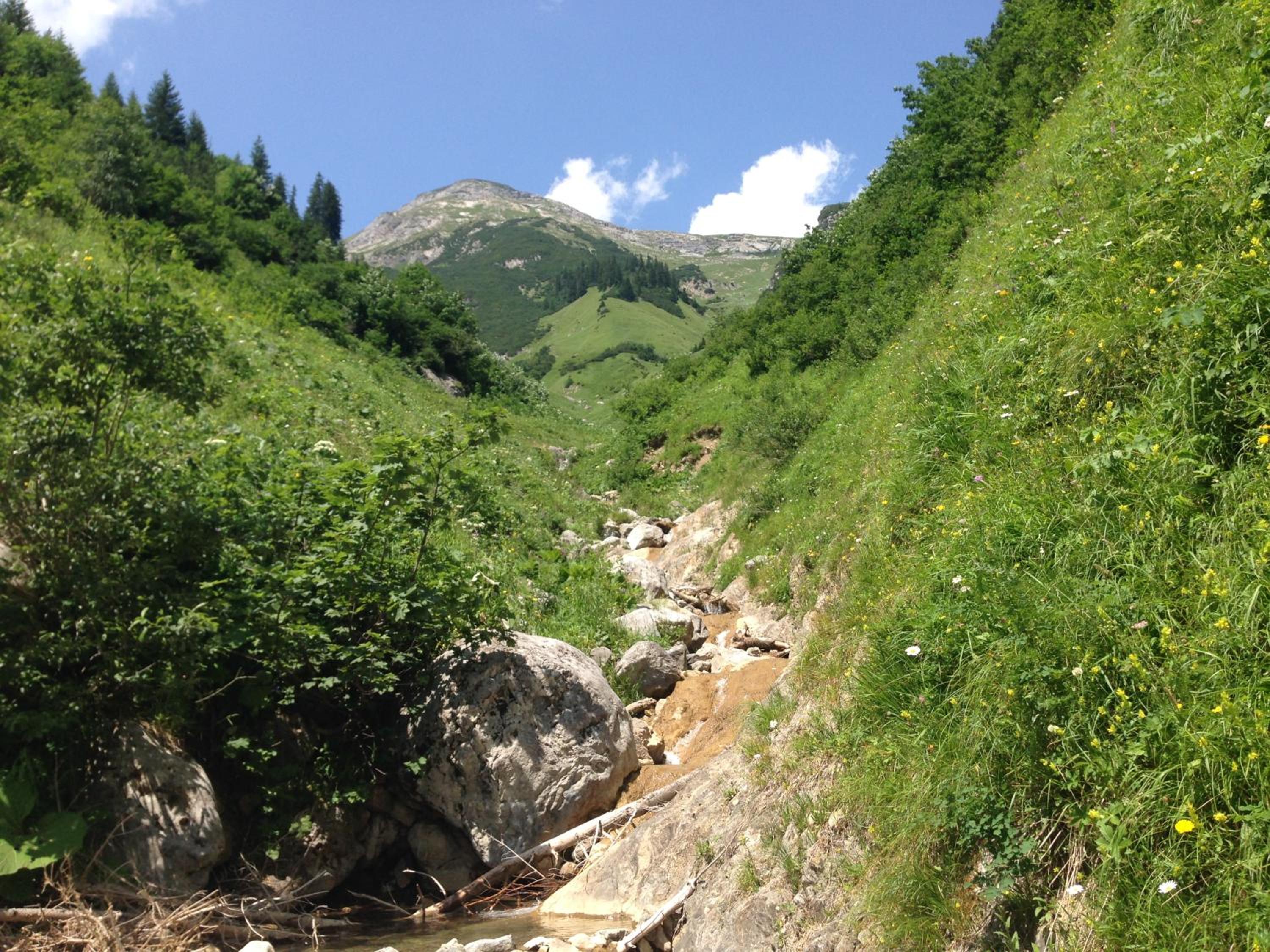 Photo 11