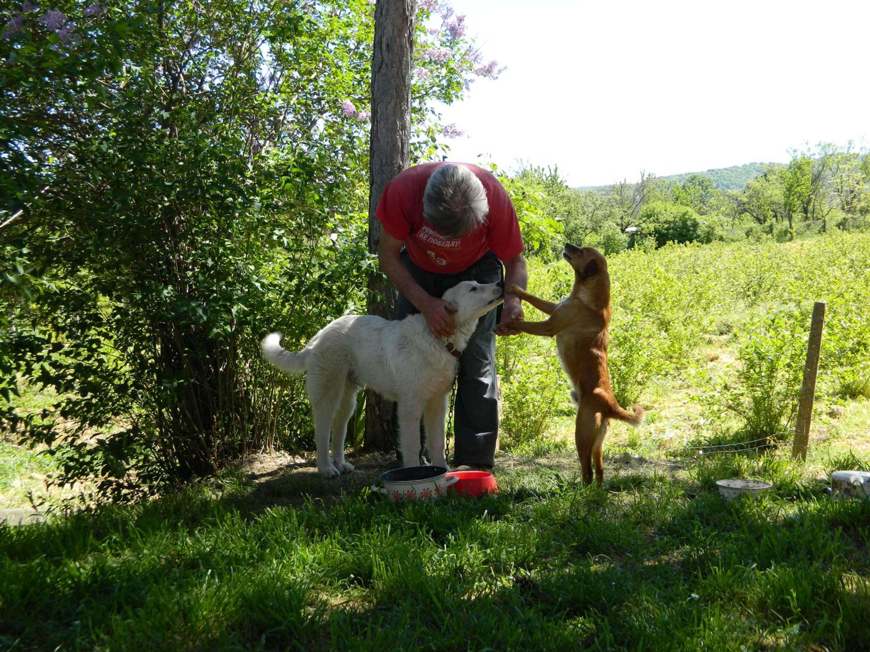 Photo 35
