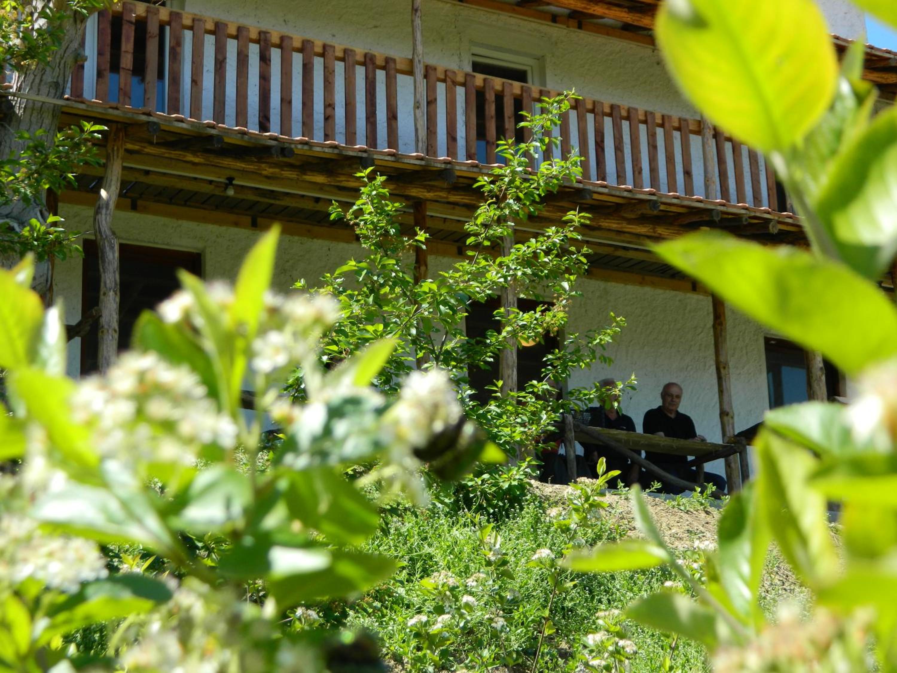 Photo 42