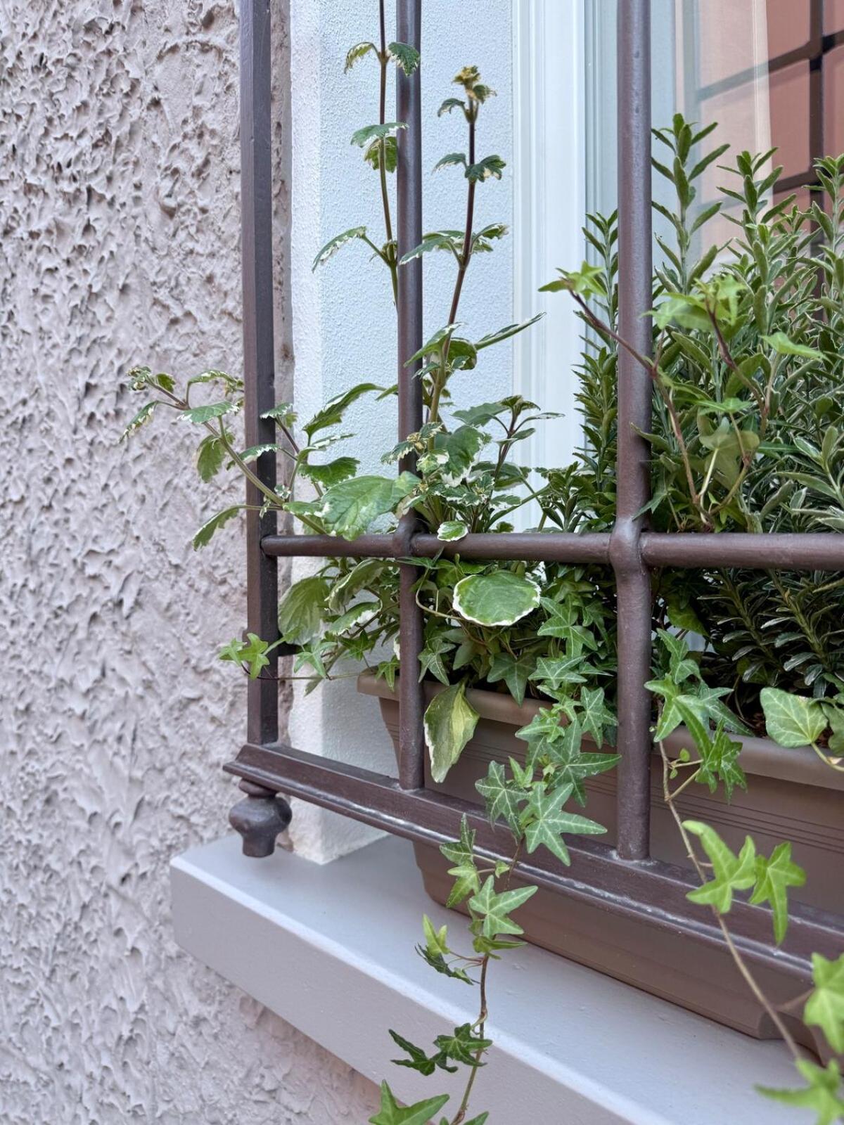 Casa Lazzari - Giardino Segreto a 3 min da Villa Maria Cecilia Hospital