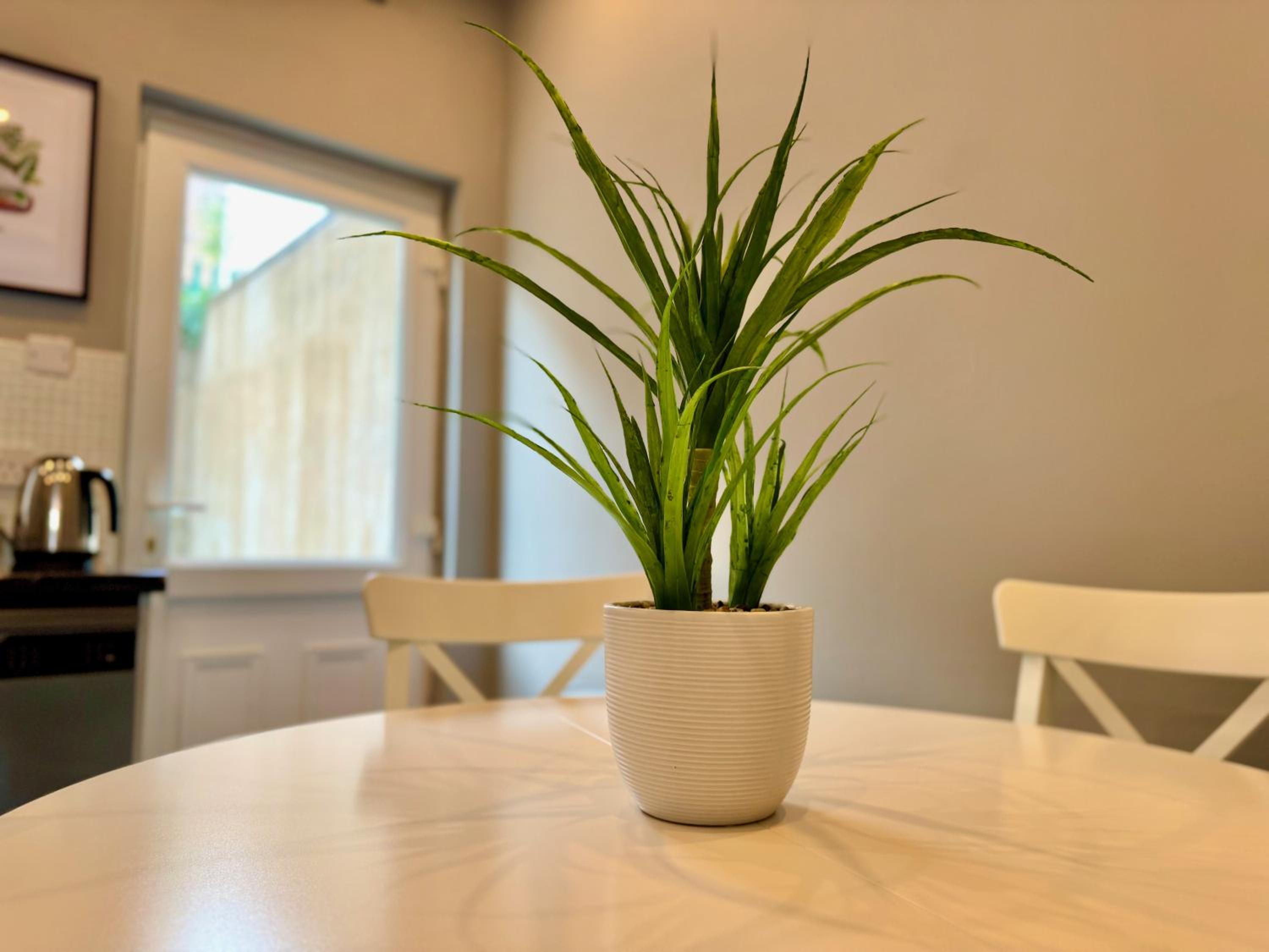 The Urban Oasis - Great location near Pubs, Restaurants and more! Bus links on doorstep