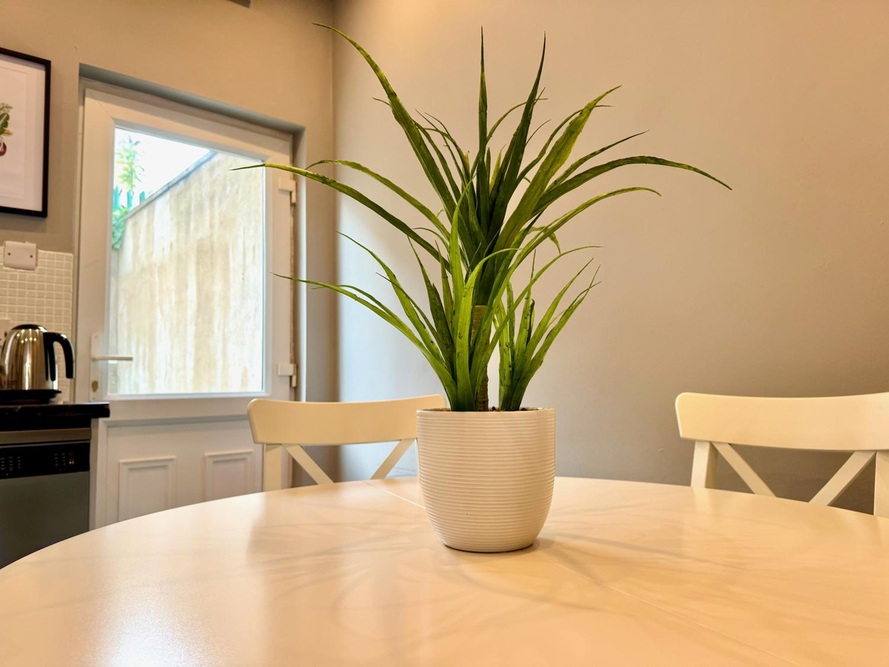 The Urban Oasis - Great location near Pubs, Restaurants and more! Bus links on doorstep