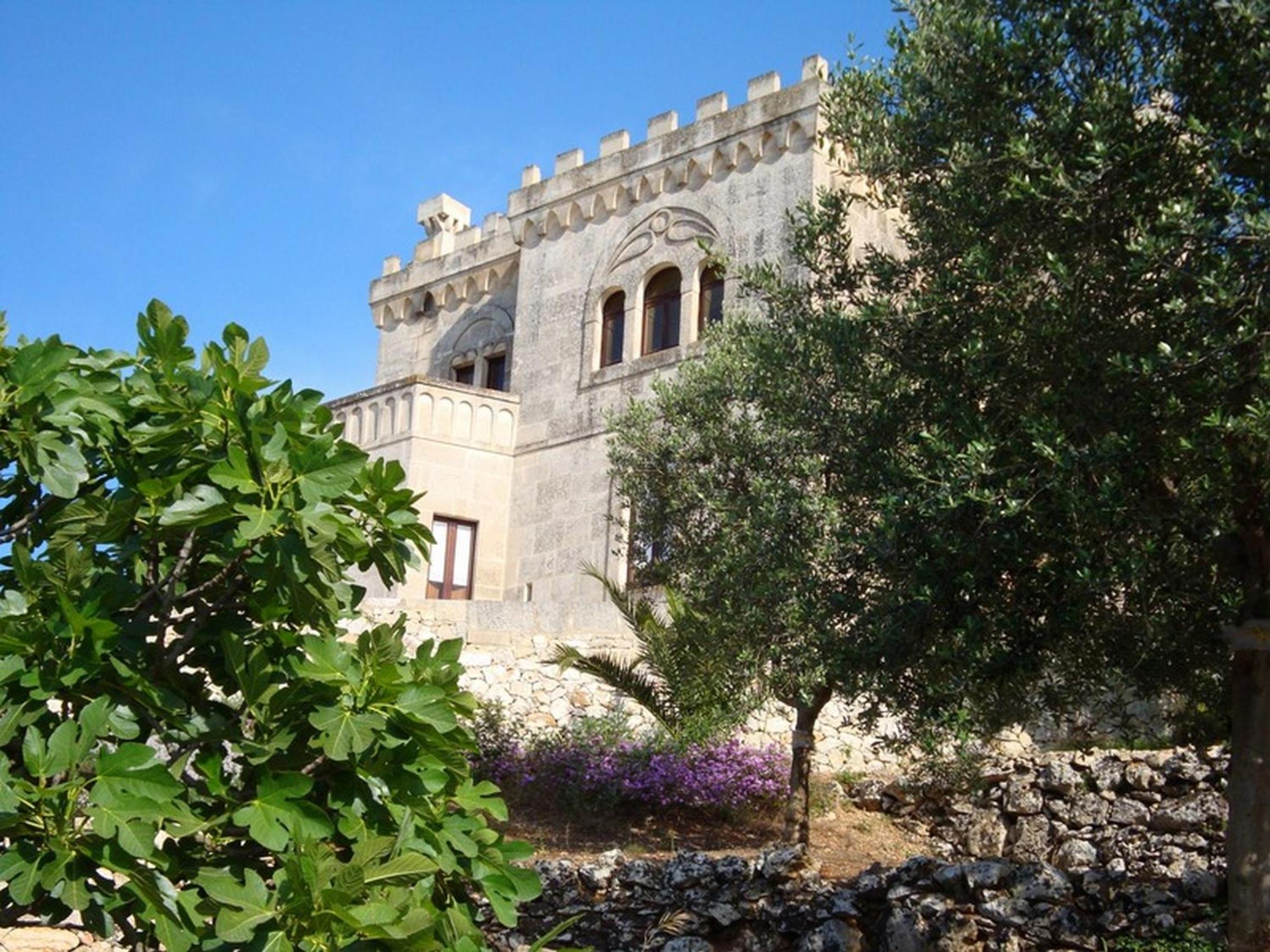 Photo 15