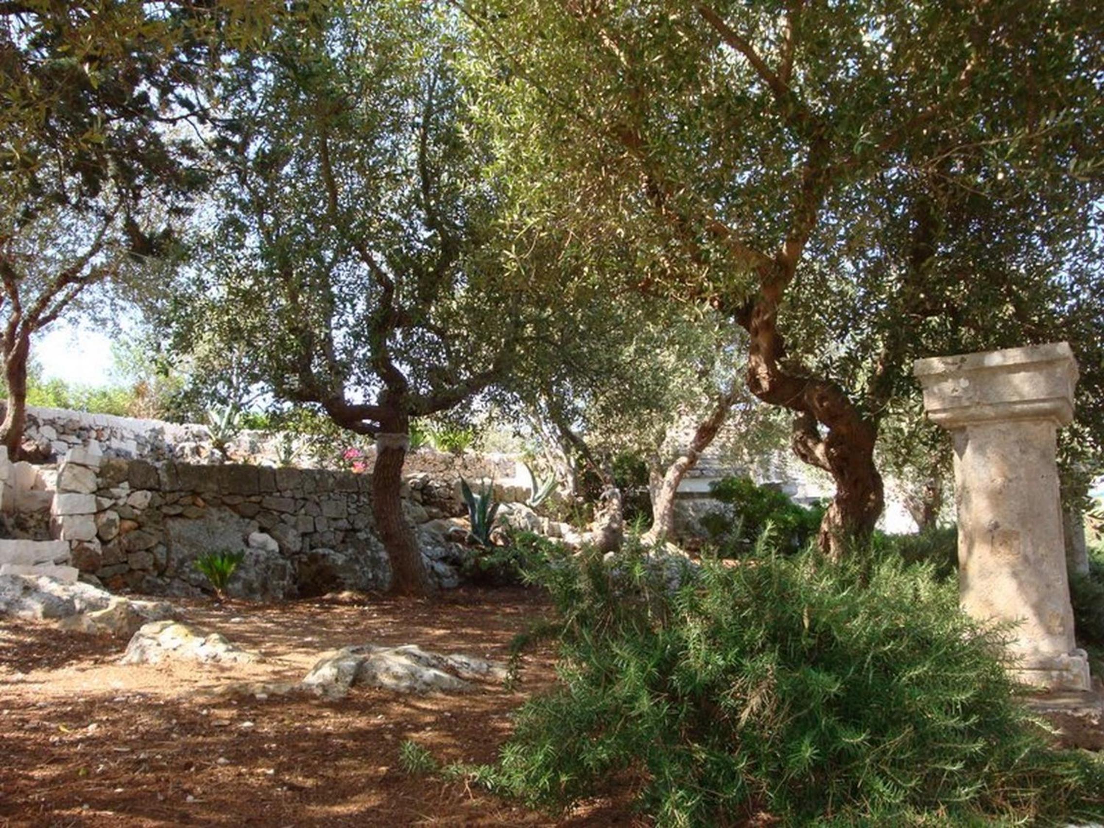 Photo 47