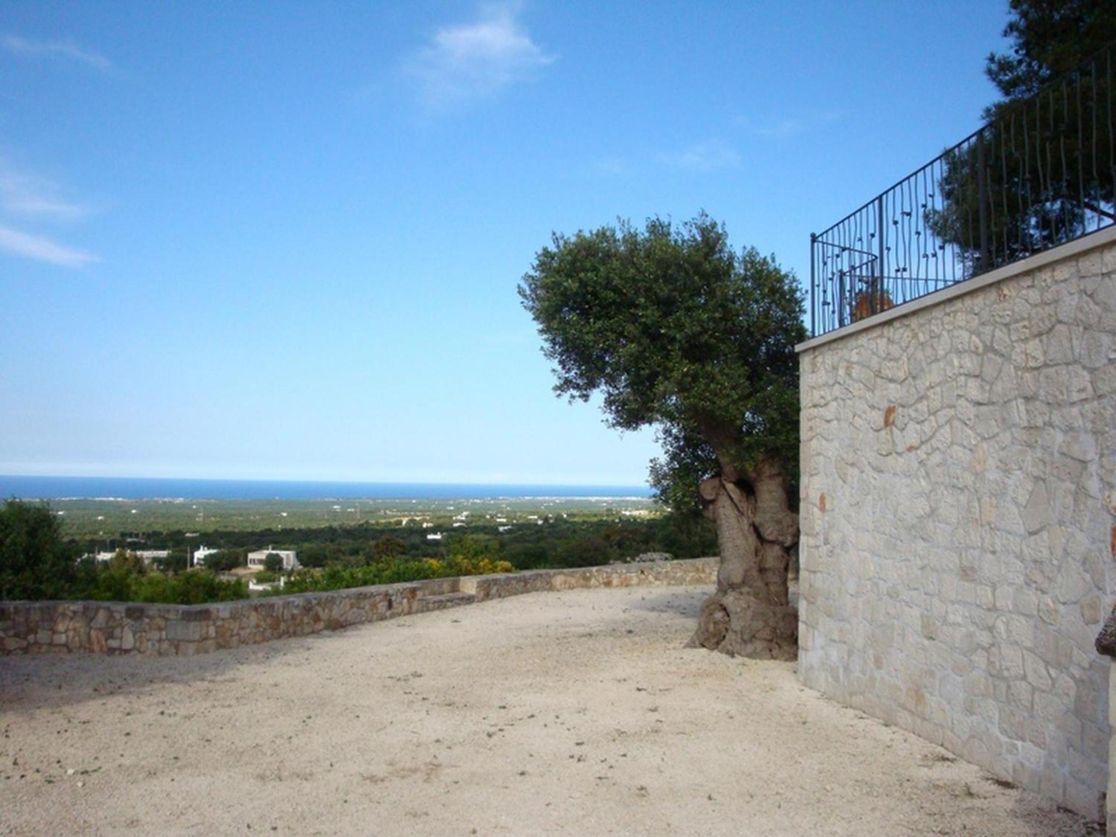 Photo 33