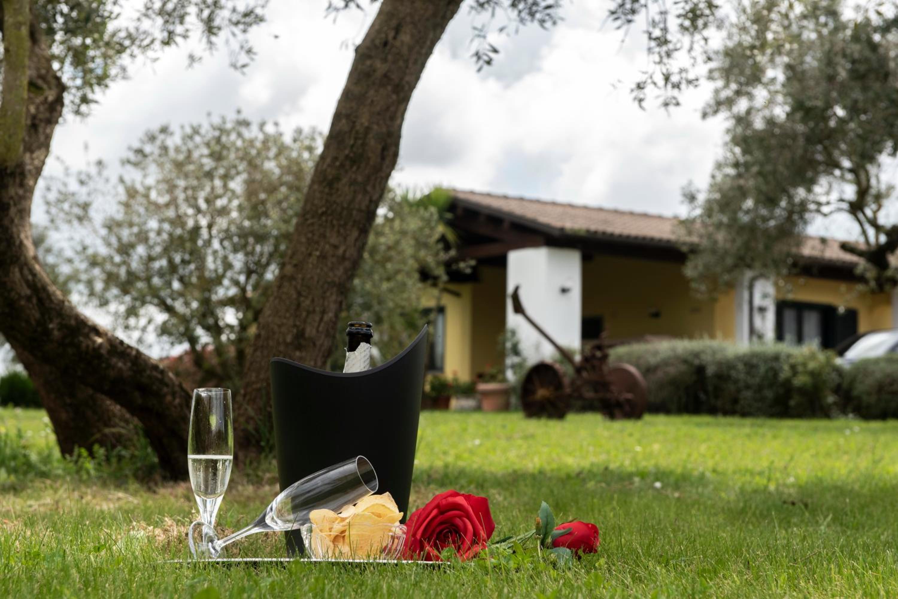 Agriturismo La Vita è Bella