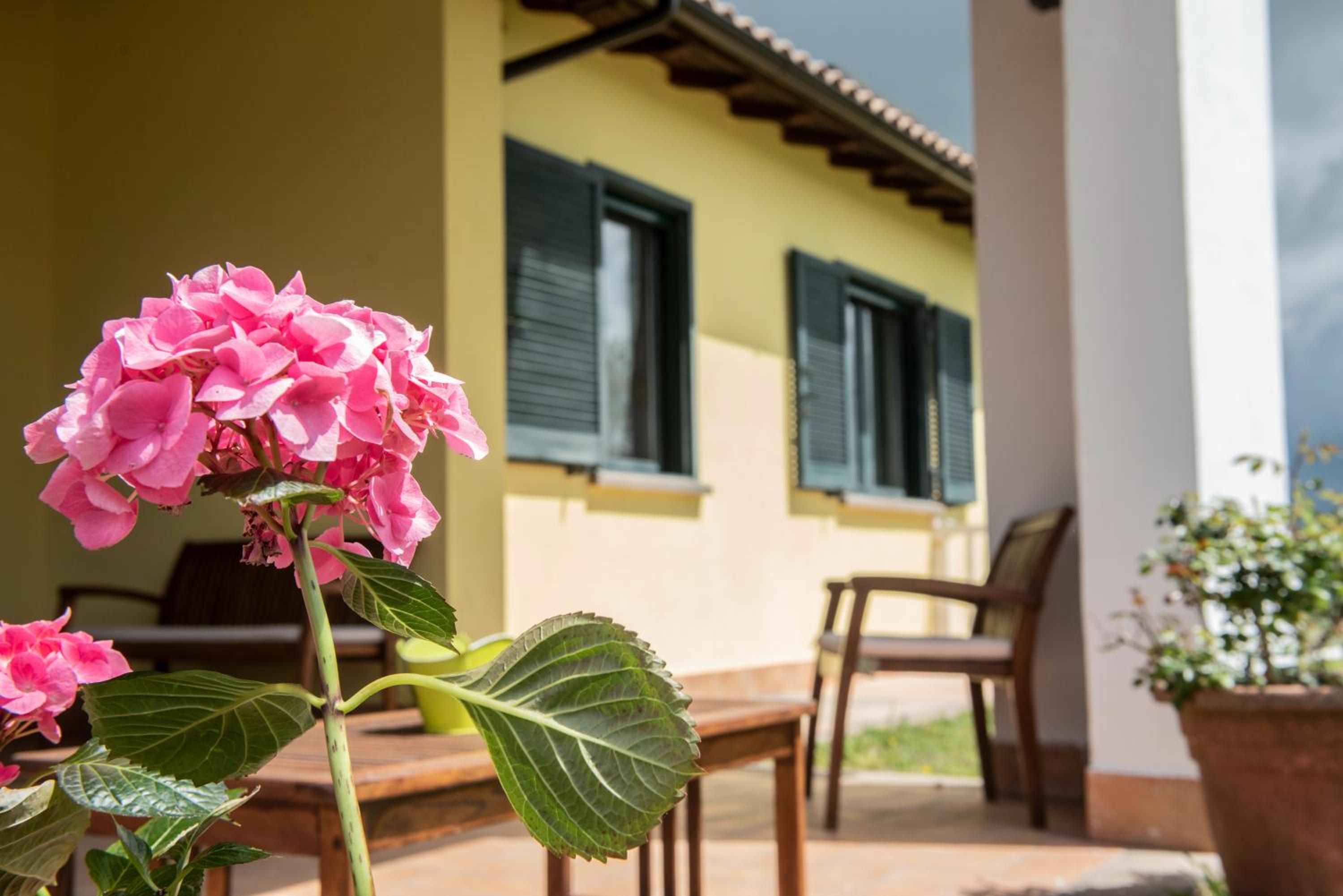 Agriturismo La Vita è Bella