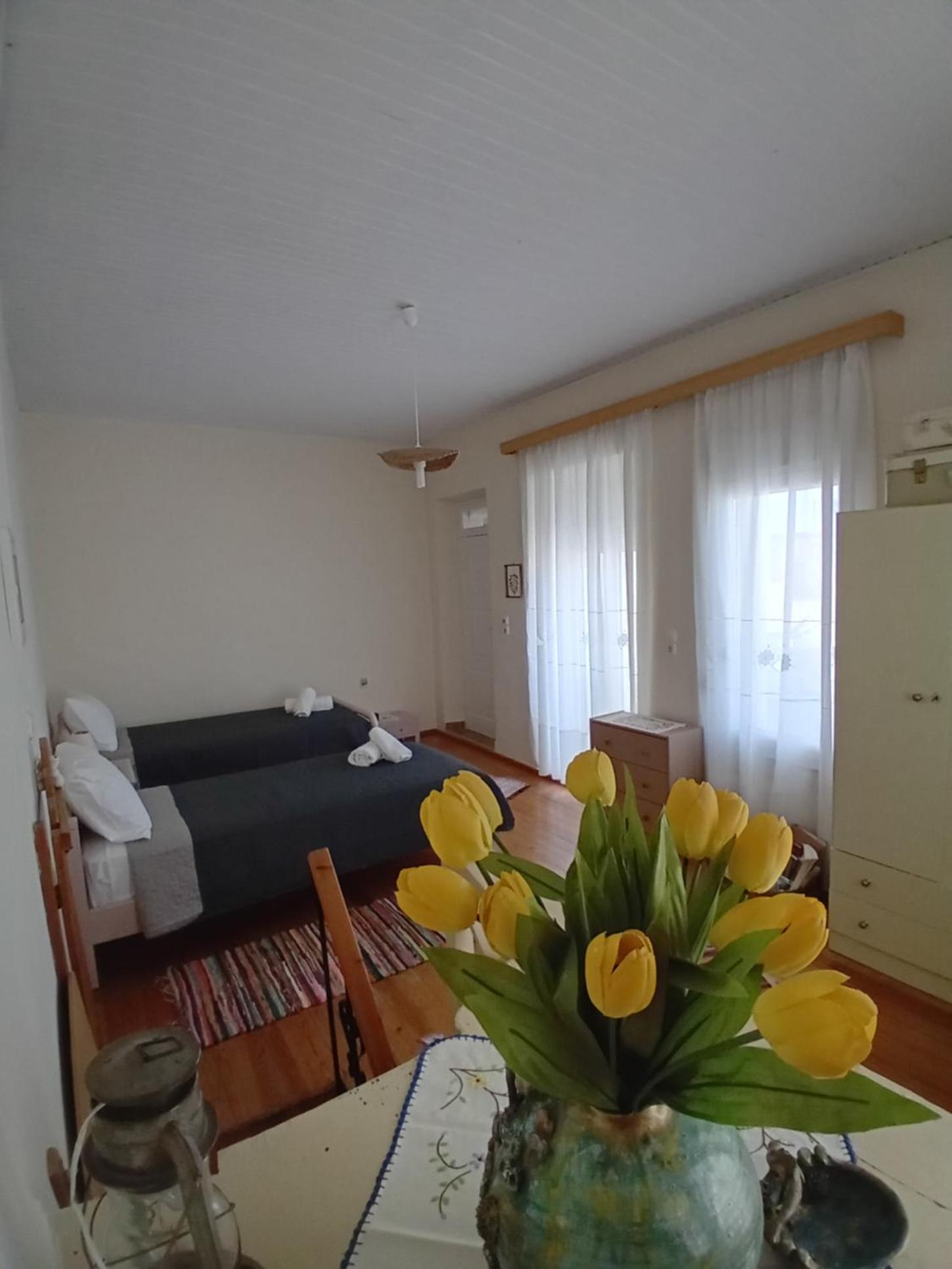 Mesorizi - Ancestral Home, Modern Stay
