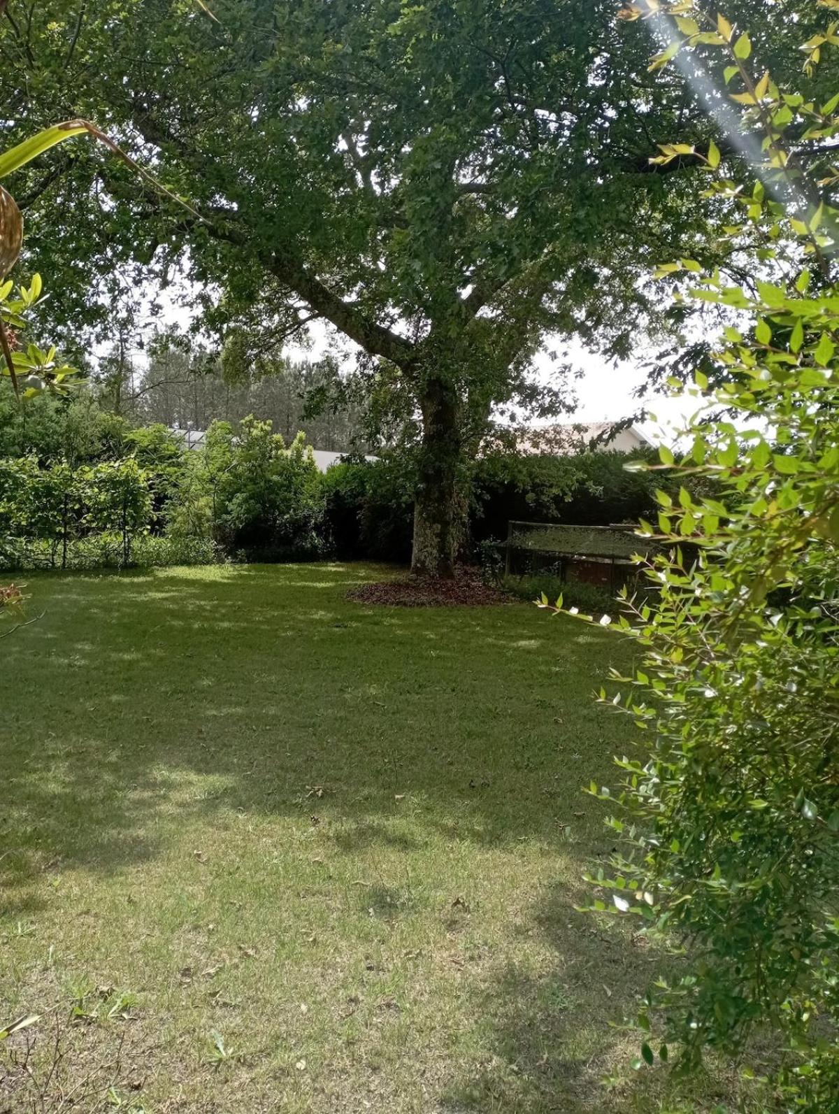 Charmant T1 avec jardin