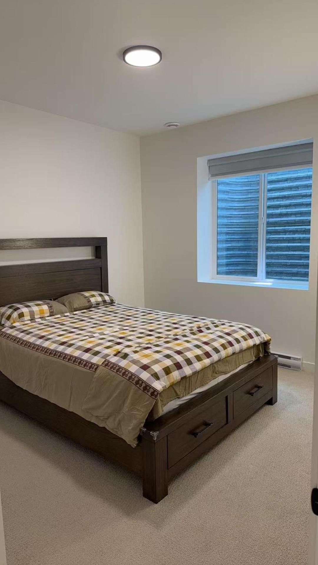 Basement suite -Langley Willoughby