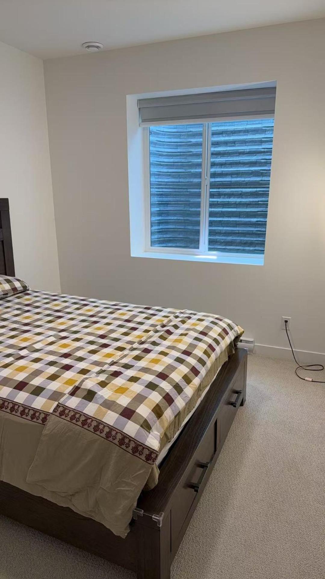 Basement suite -Langley Willoughby