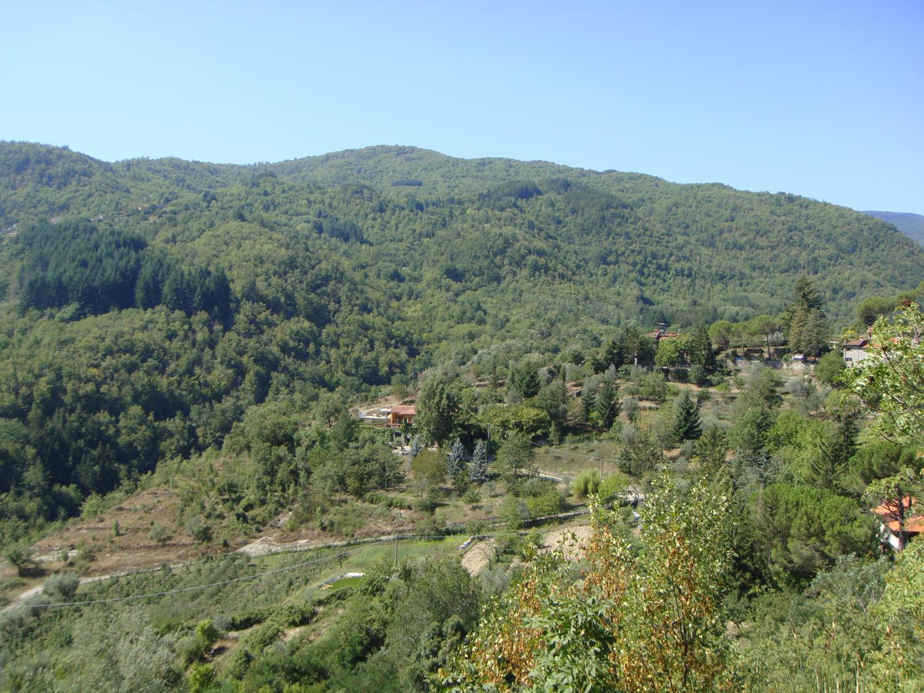 Photo 26