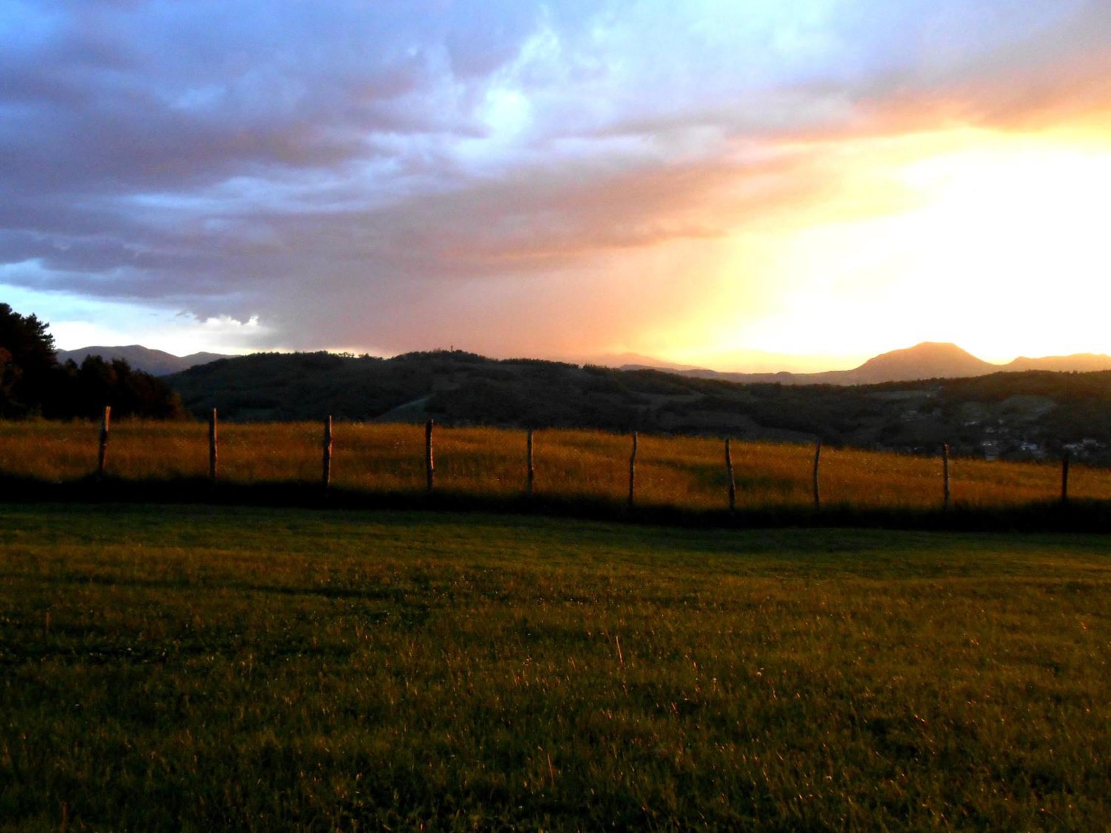 Photo 42