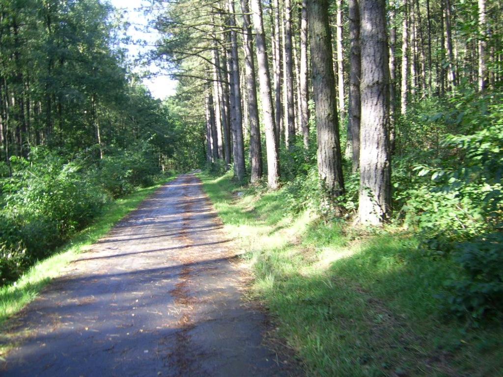 Bosbeekvallei