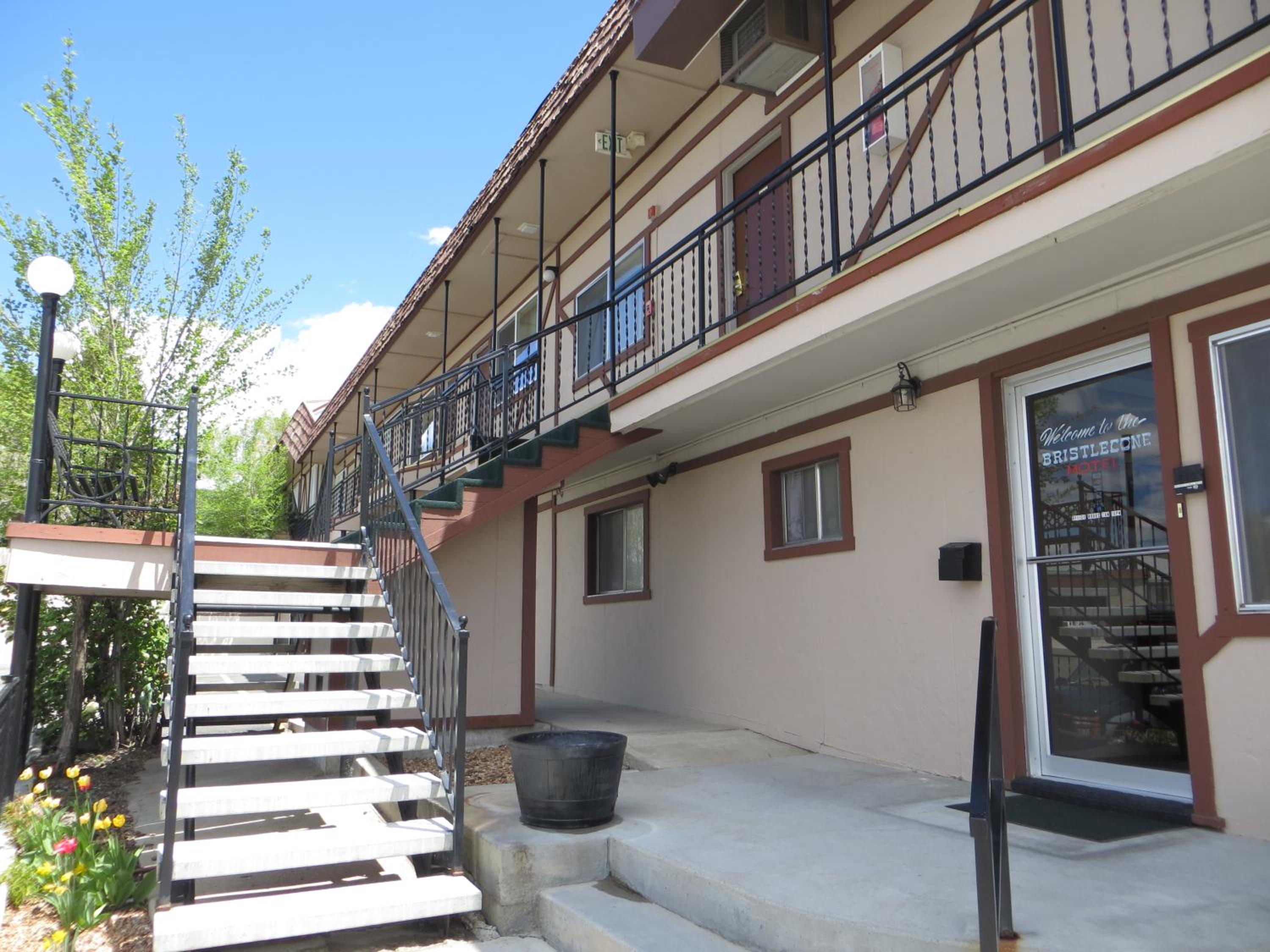 Bristlecone Motel