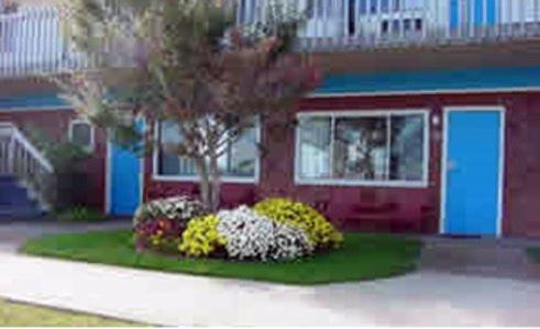 Blue Sea Motor Inn