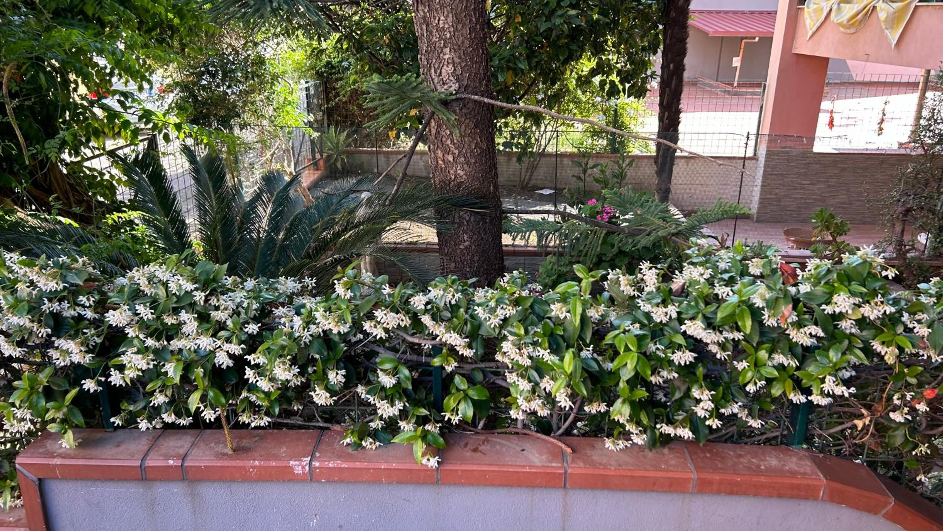 Casa Perla Taormina-Giardini Naxos