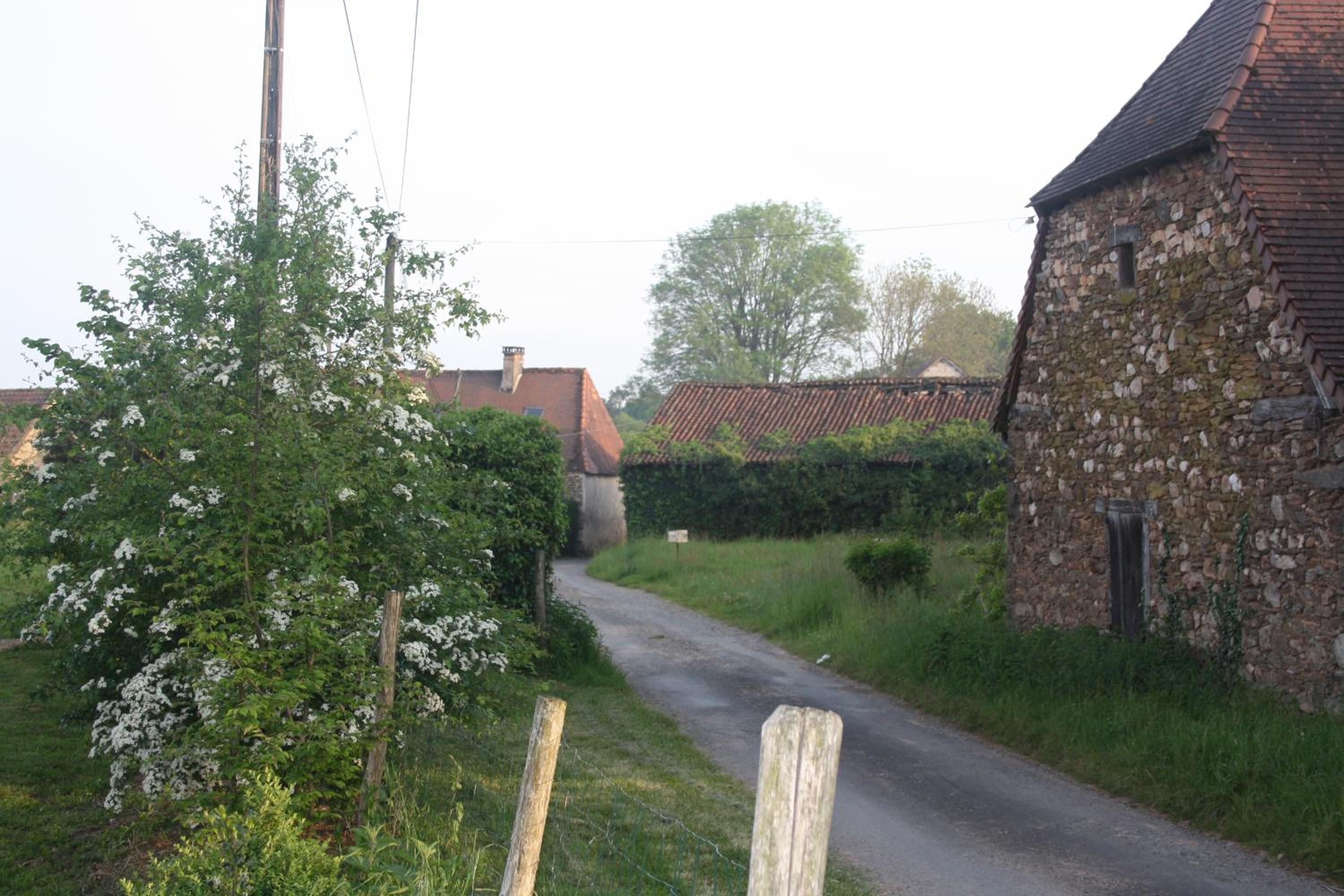Photo 24