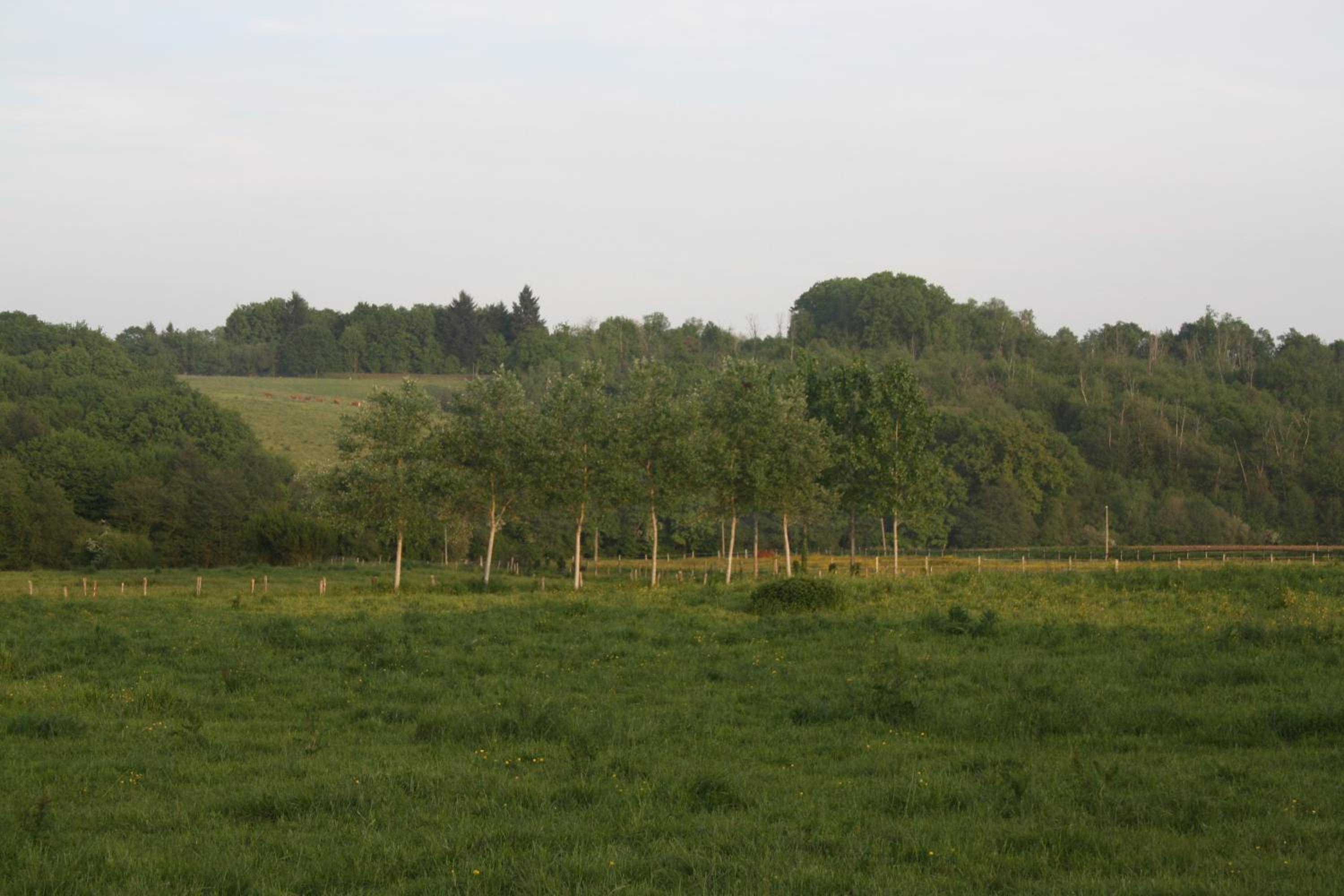Photo 27