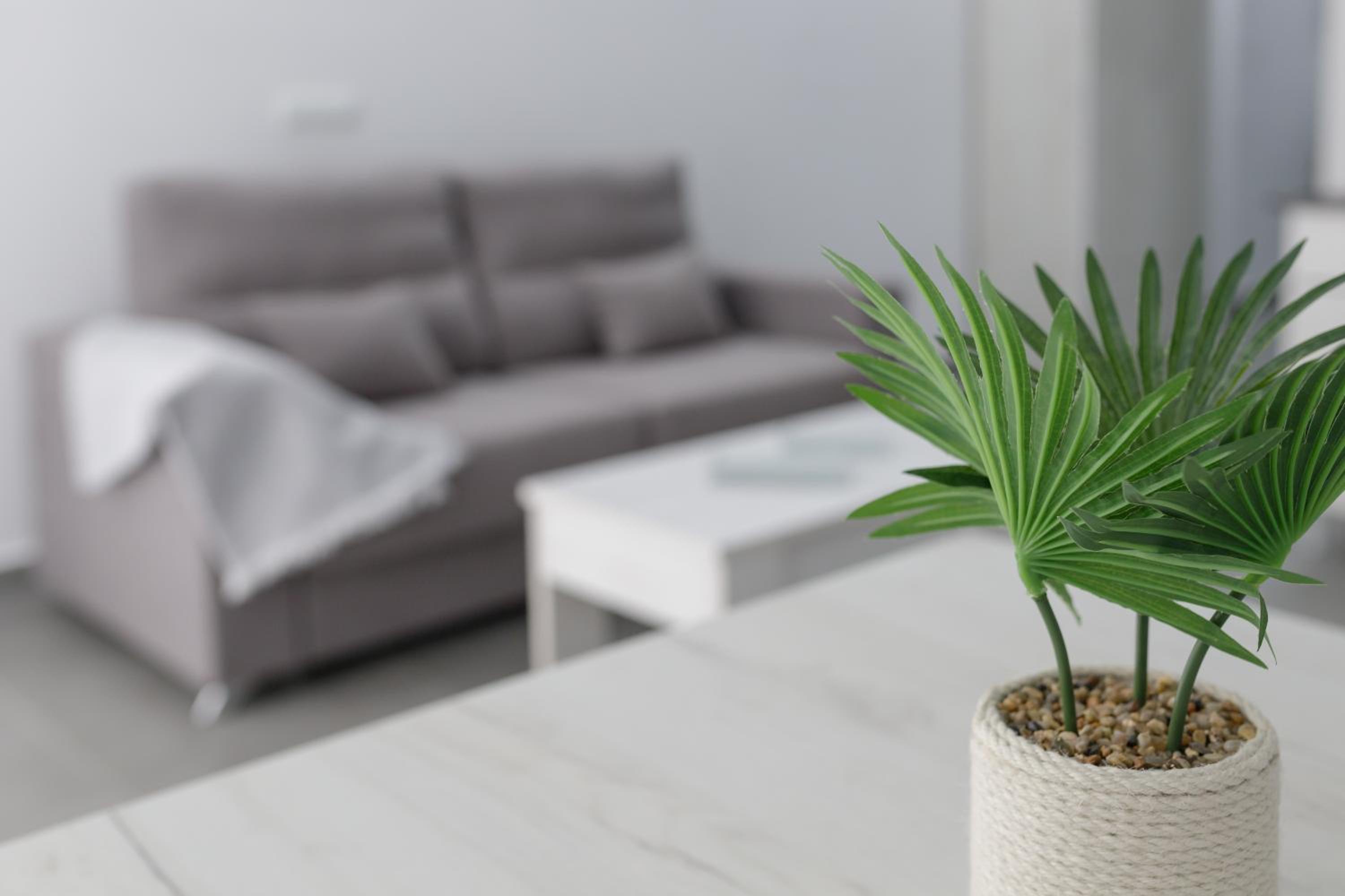 Ro's Lil Suites San Juan Alicante