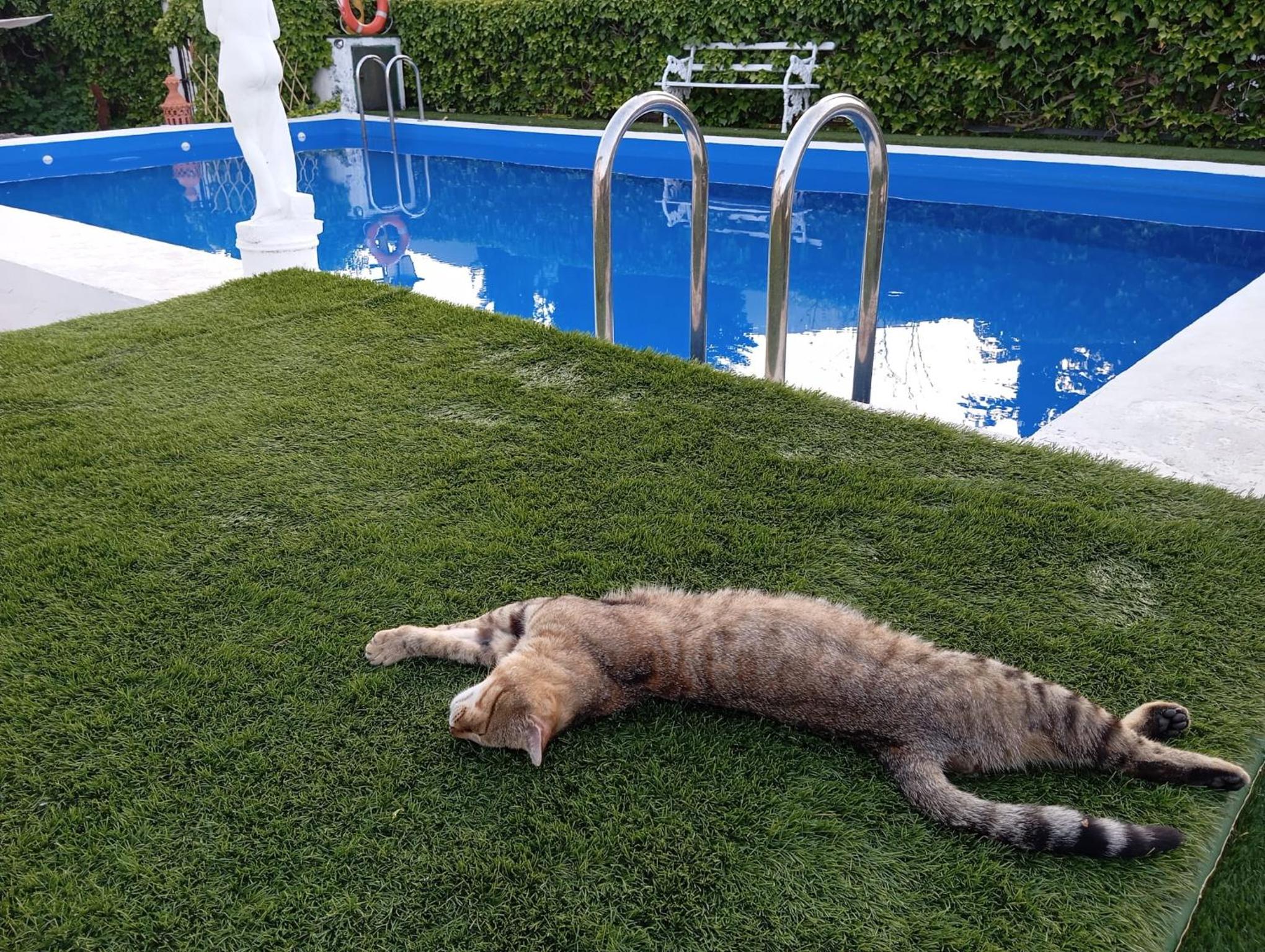 La Tiná Nueva