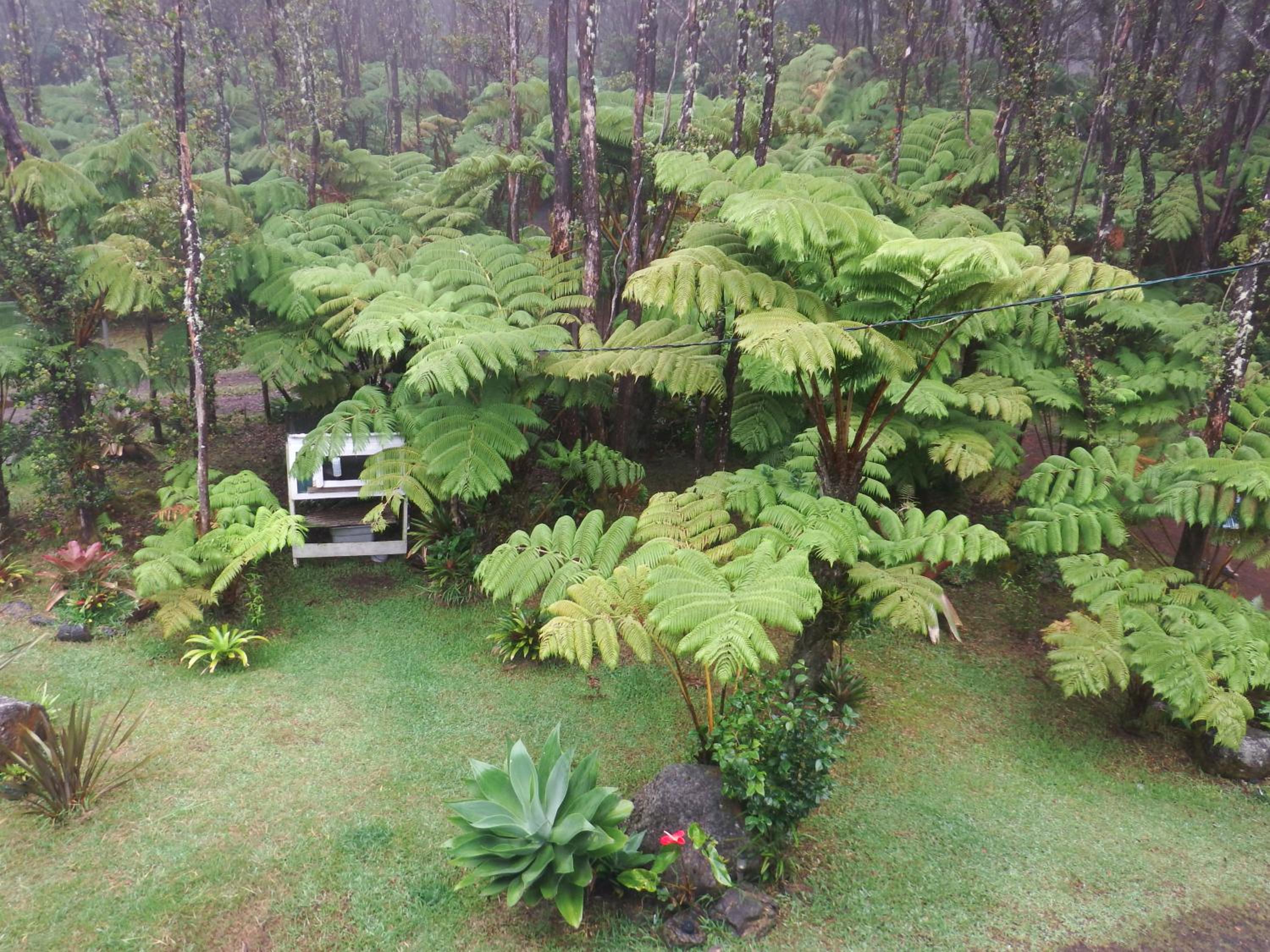 Aloha Crater Lodge