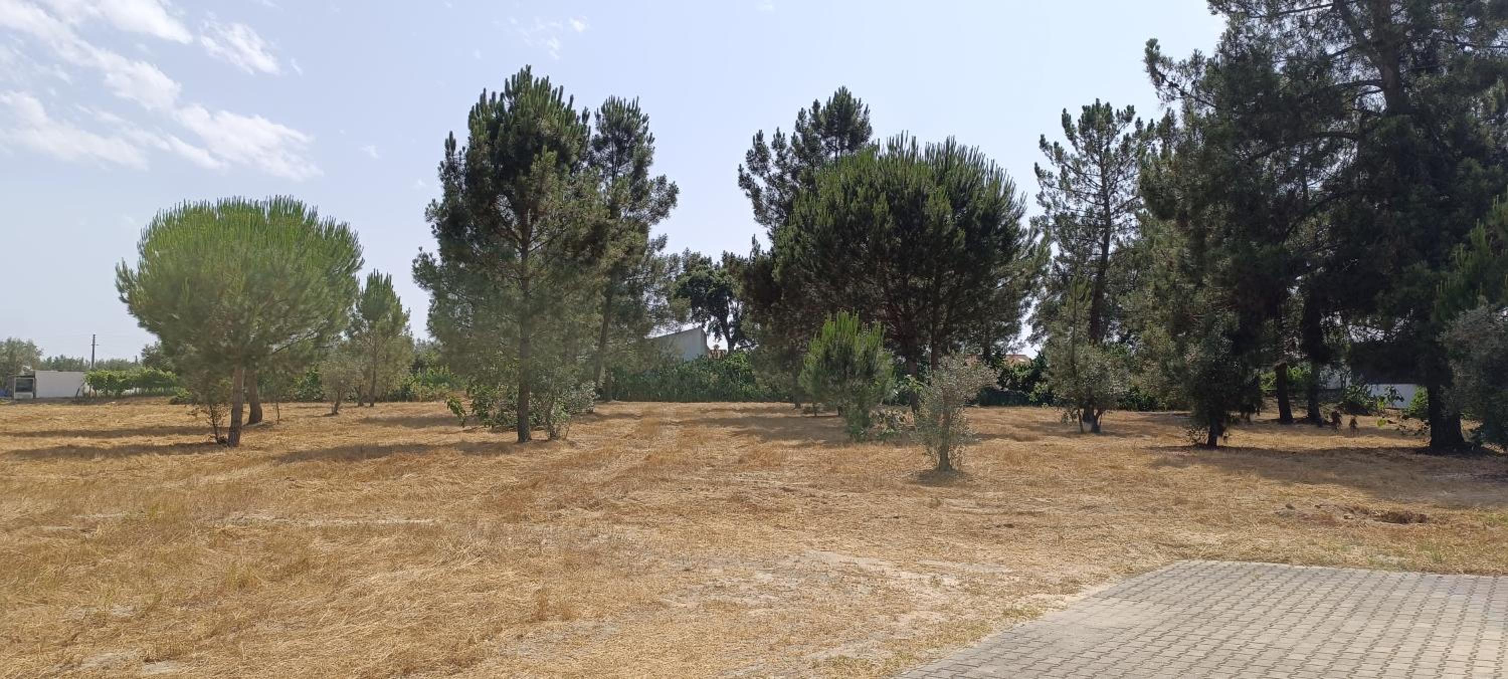 Quinta do Pinheirão