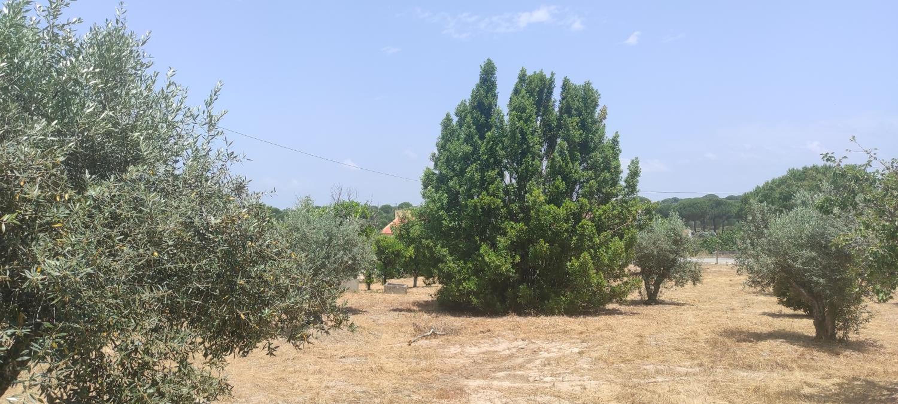 Quinta do Pinheirão