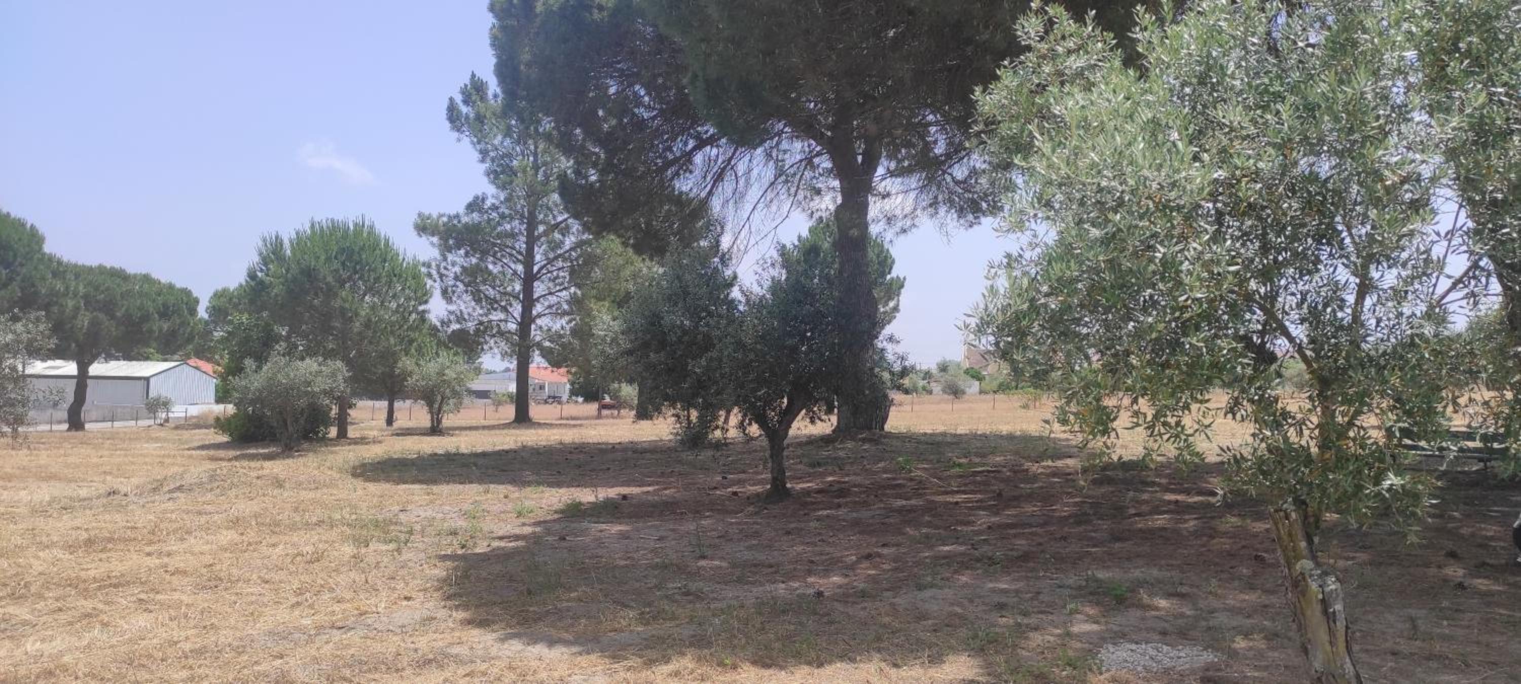 Quinta do Pinheirão